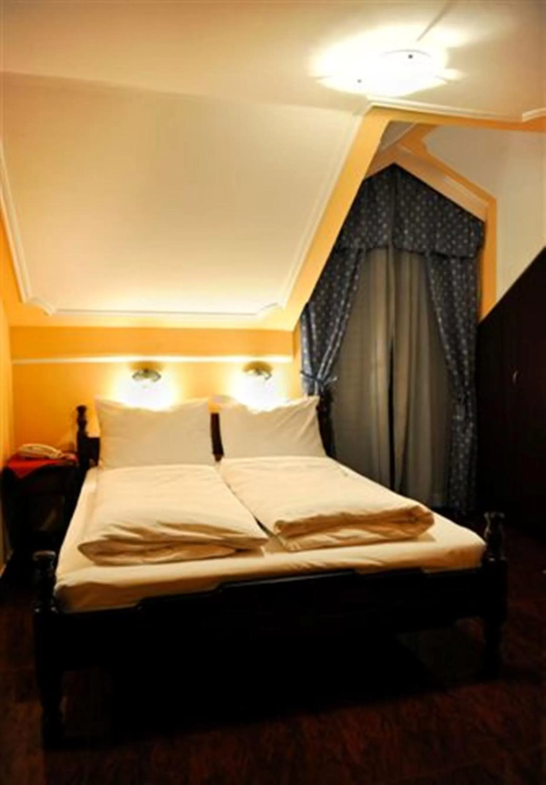 Double Room in Hotel Evropa