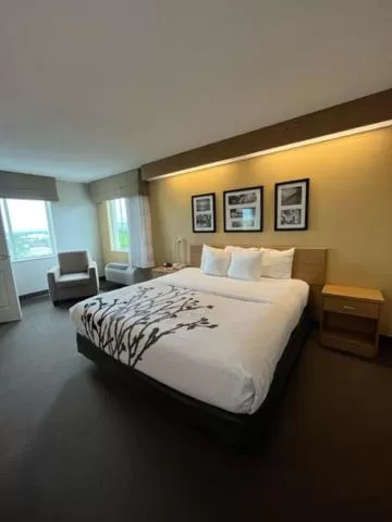 King Room - Accessible/Non-Smoking in Sleep Inn Lynchburg - University Area & Hwy 460