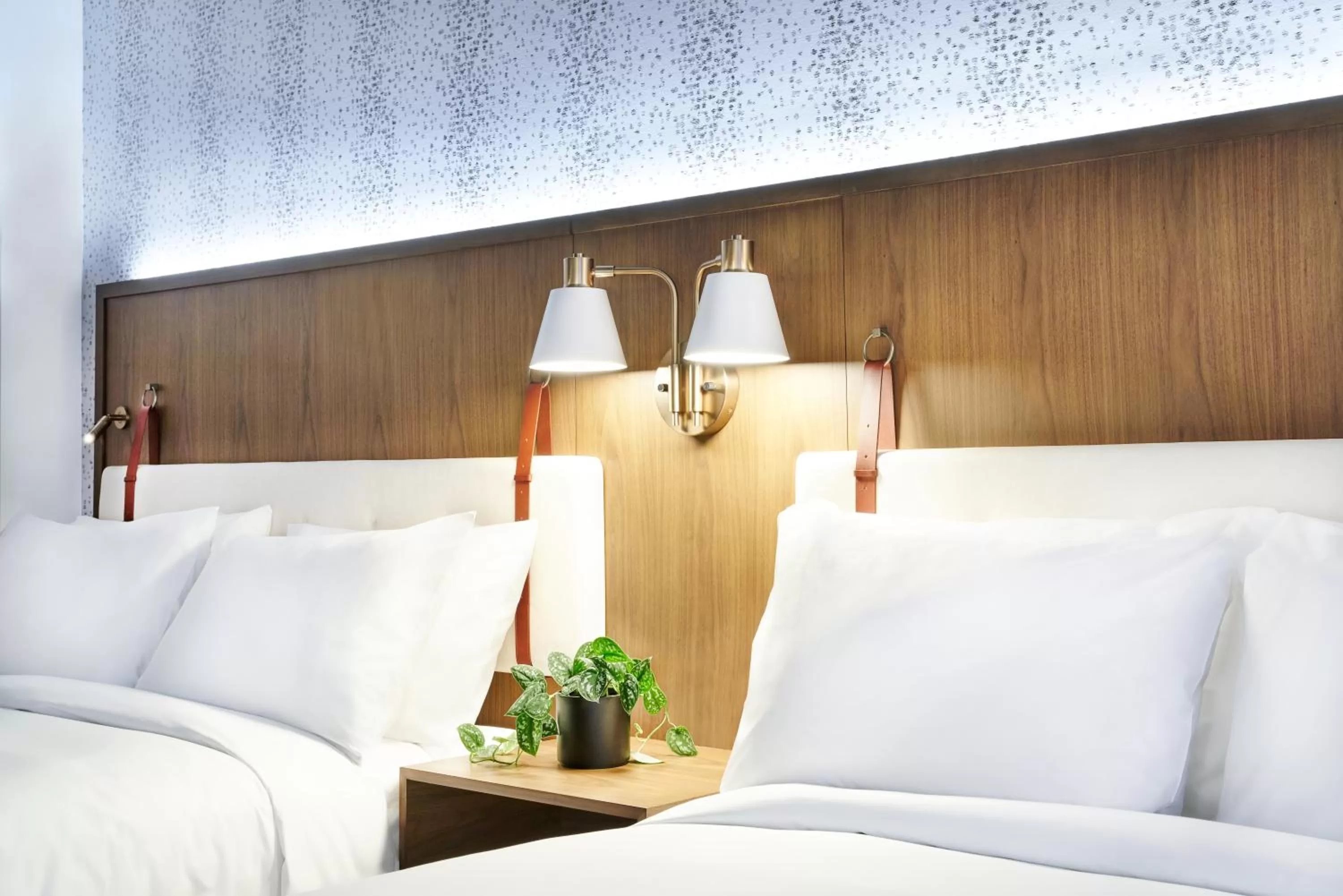 Queen Room with Two Queen Beds - High Floor in Hyatt Centric Downtown Denver