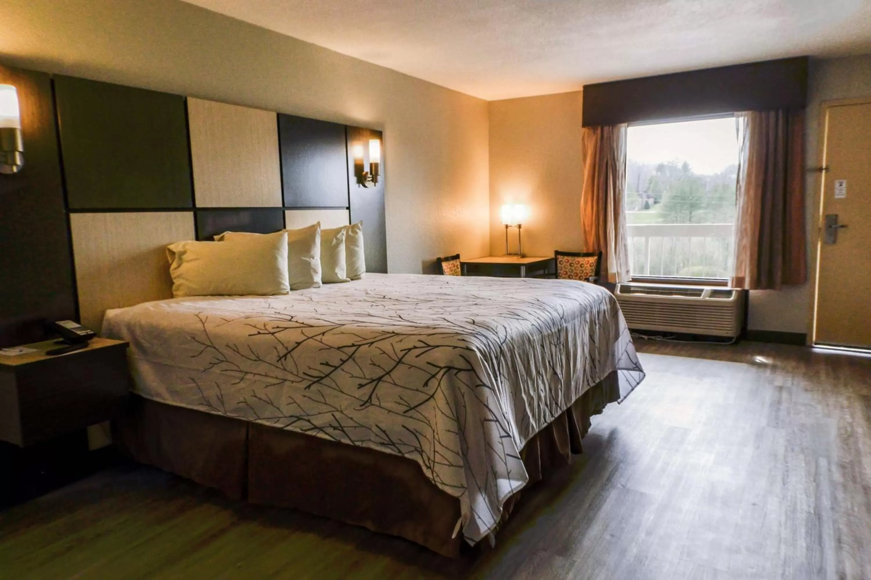 King Room - single occupancy - Disability Access in Best Western Cades Cove Inn