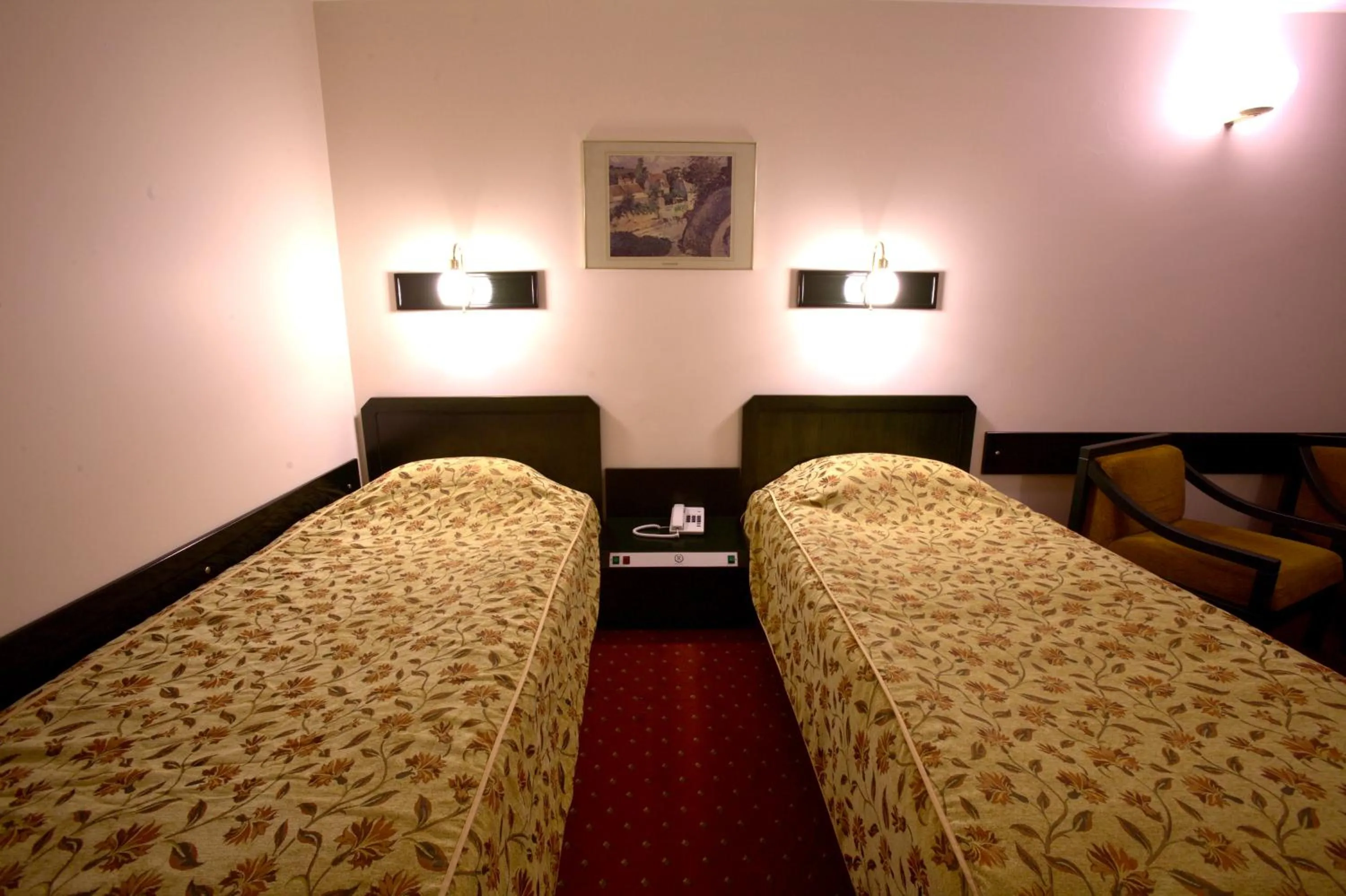 Economy Double Room in Istanbul Royal Hotel