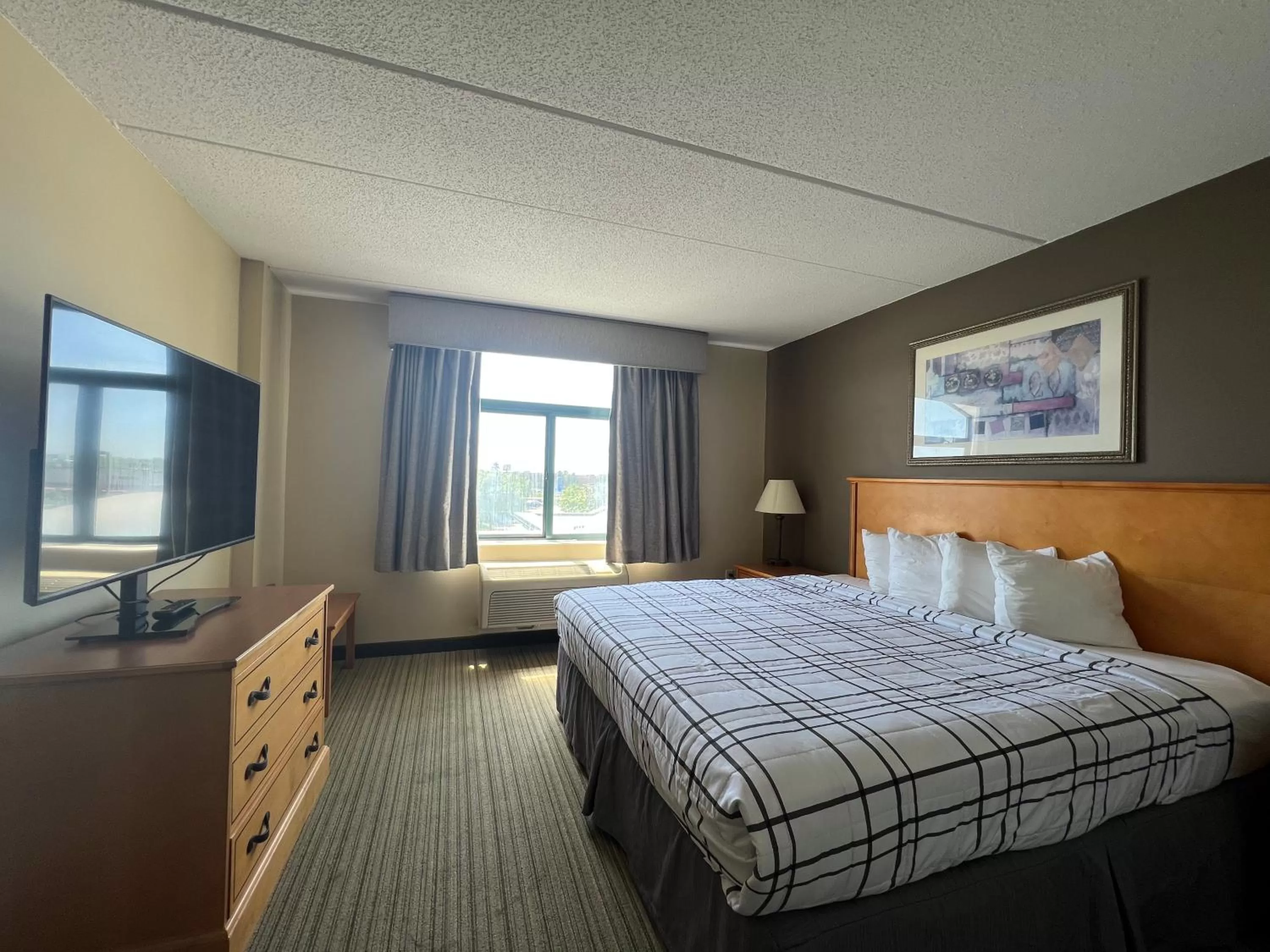 Deluxe King Room - Non-Smoking in Wingate by Wyndham Coon Rapids