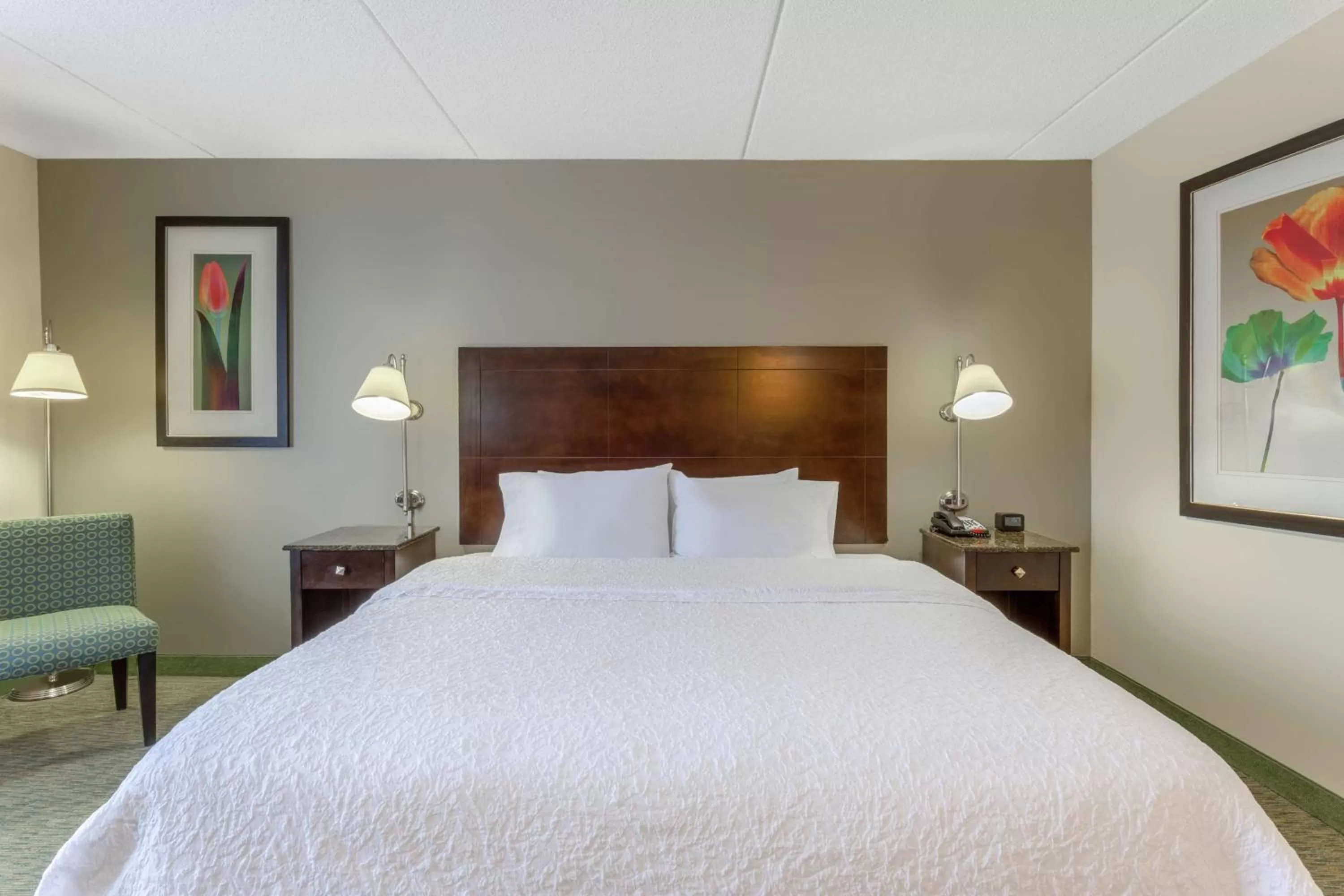 King Room- Mobiltiy Accessible with Bathtub in Hampton Inn Richmond - South