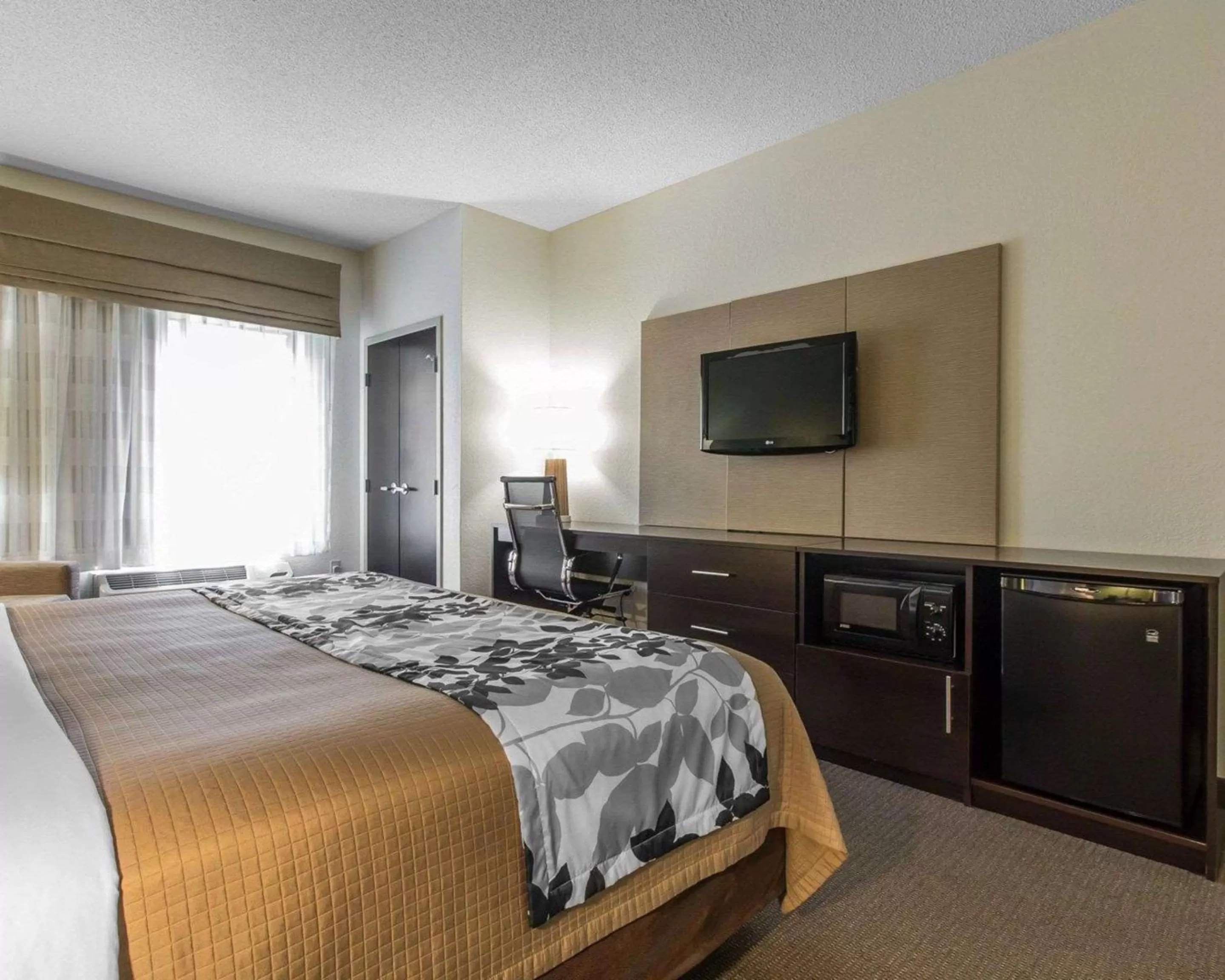 King Room - Non-Smoking in Sleep Inn & Suites Middlesboro