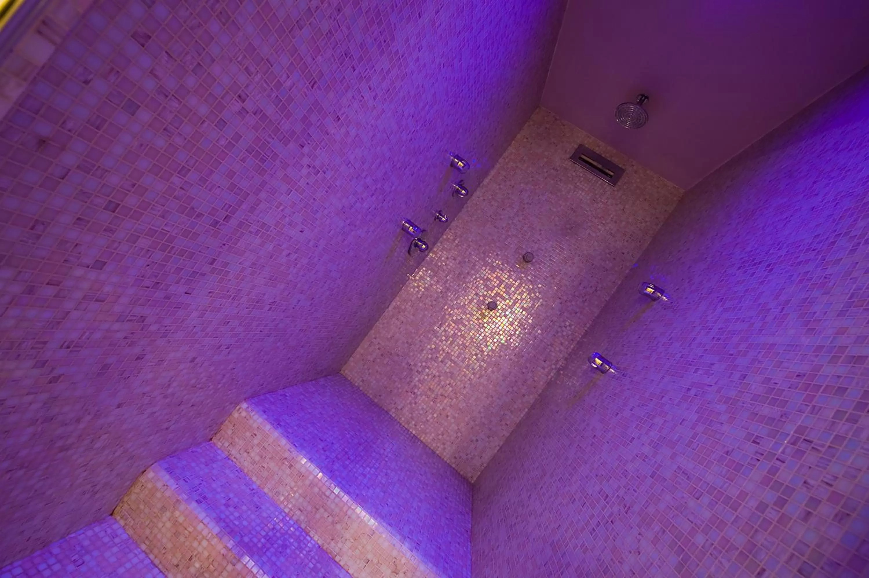 Steam room in Relais dell'Olmo