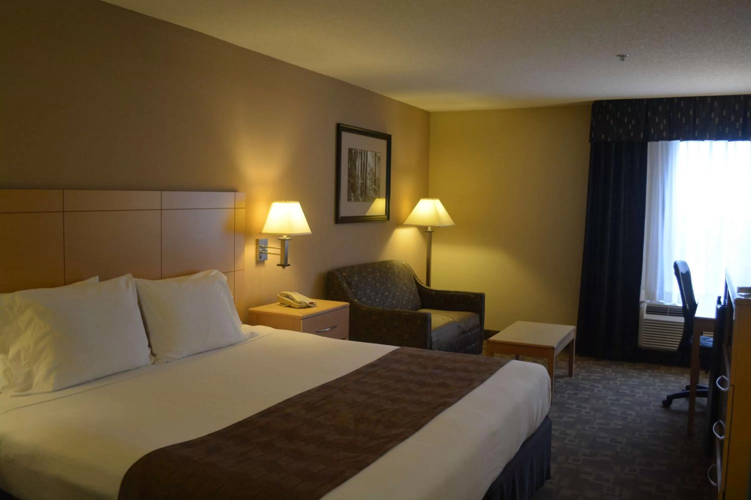 King Room with Sofa in SureStay Plus Hotel by Best Western Roanoke Rapids I-95