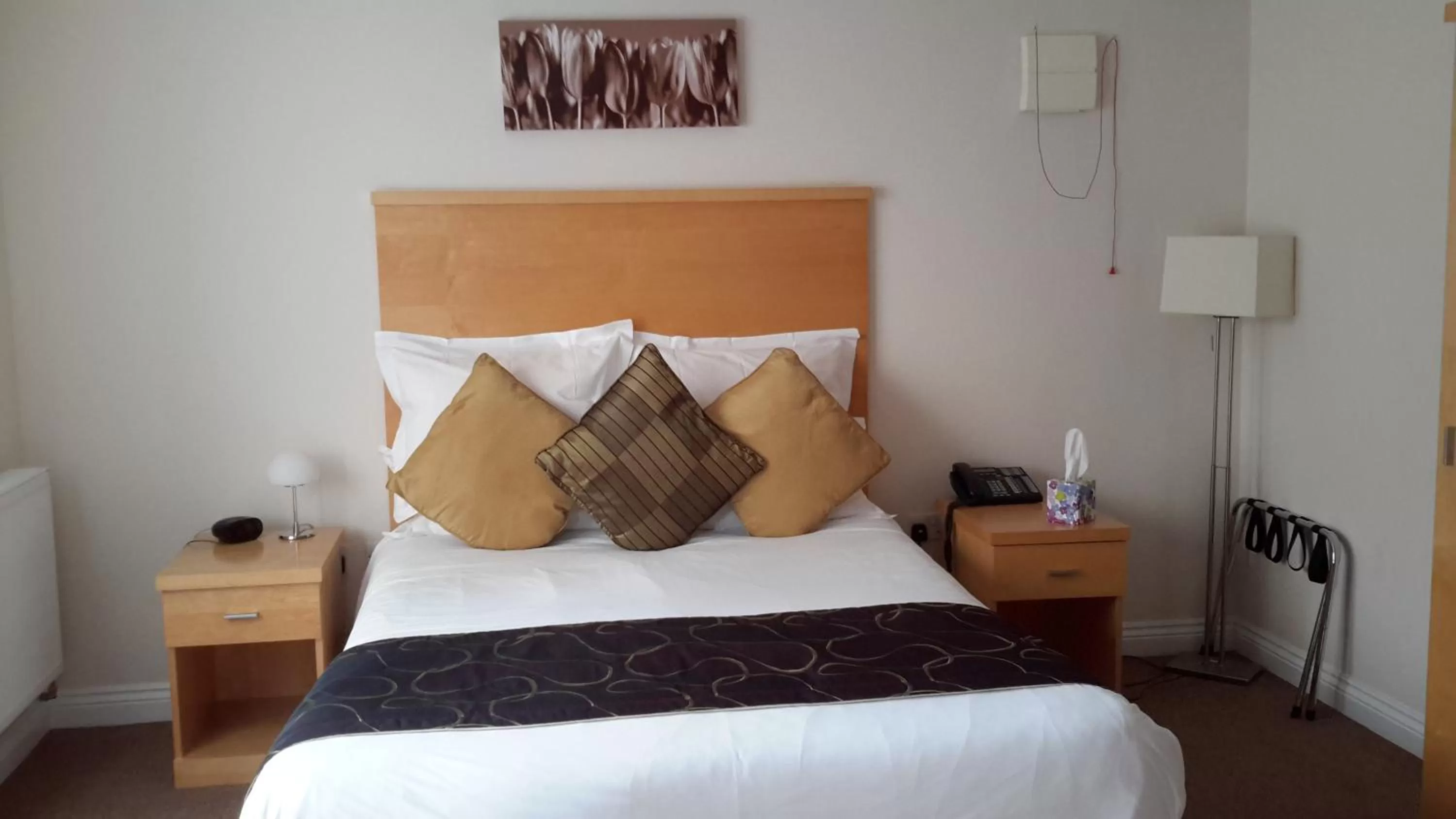 King Room - Disability Access in Springfields