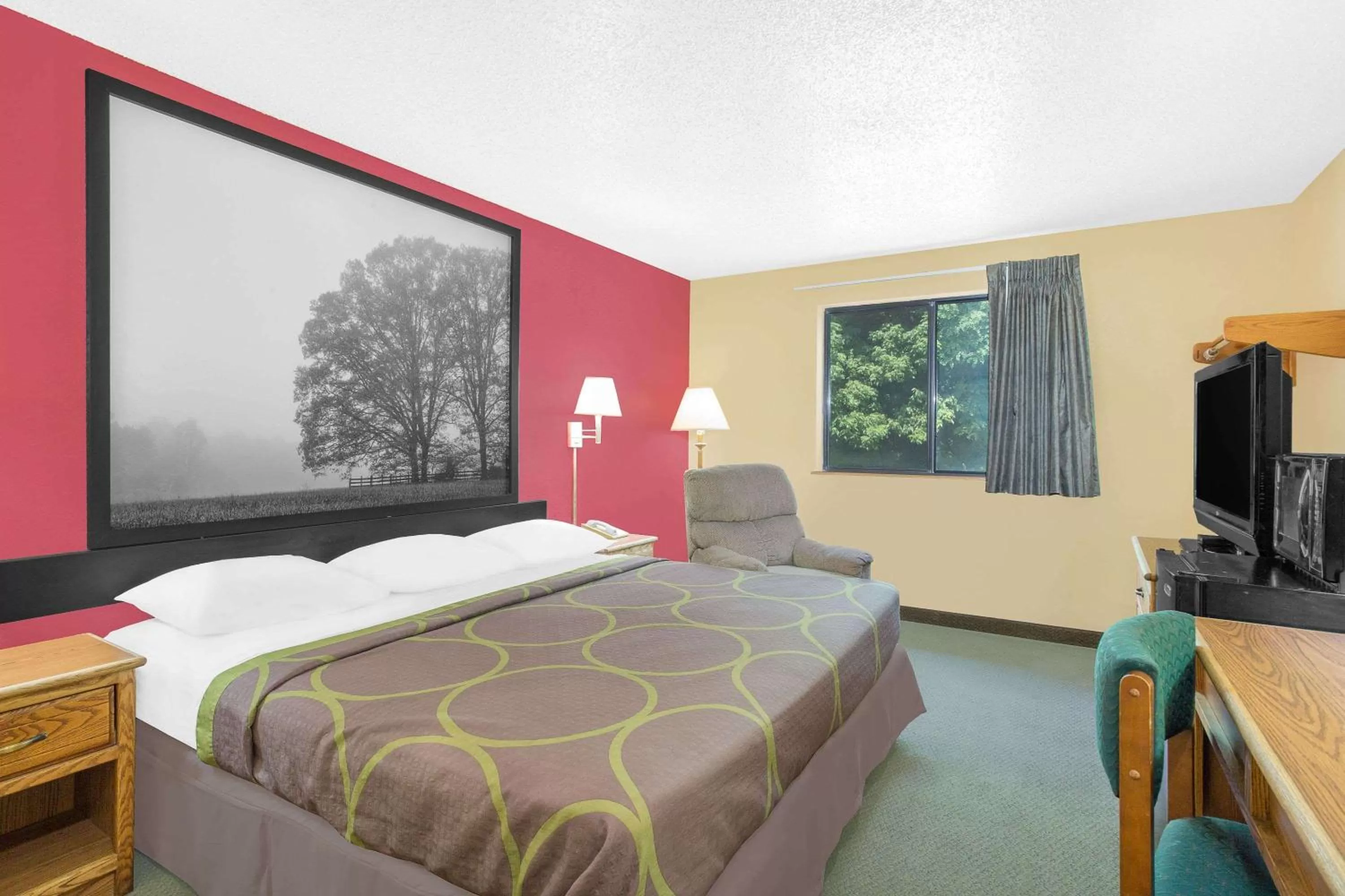 Standard King Room - Smoking in Super 8 by Wyndham Roanoke VA