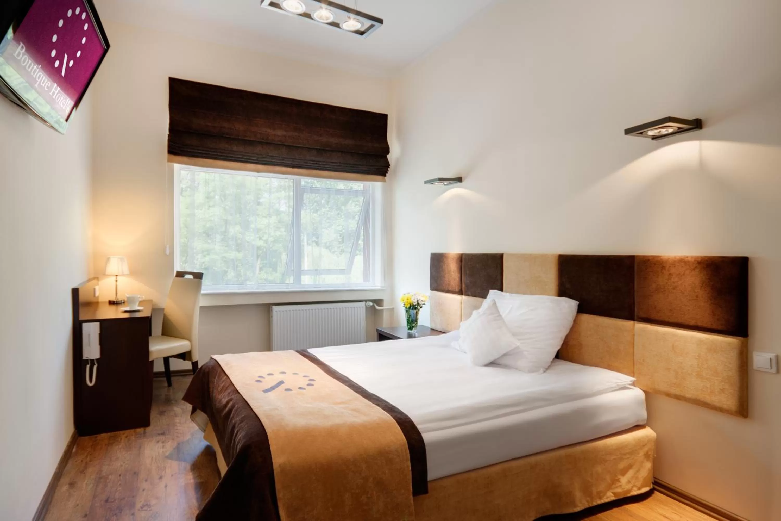 Single Room in Boutique Hotel's Sosnowiec