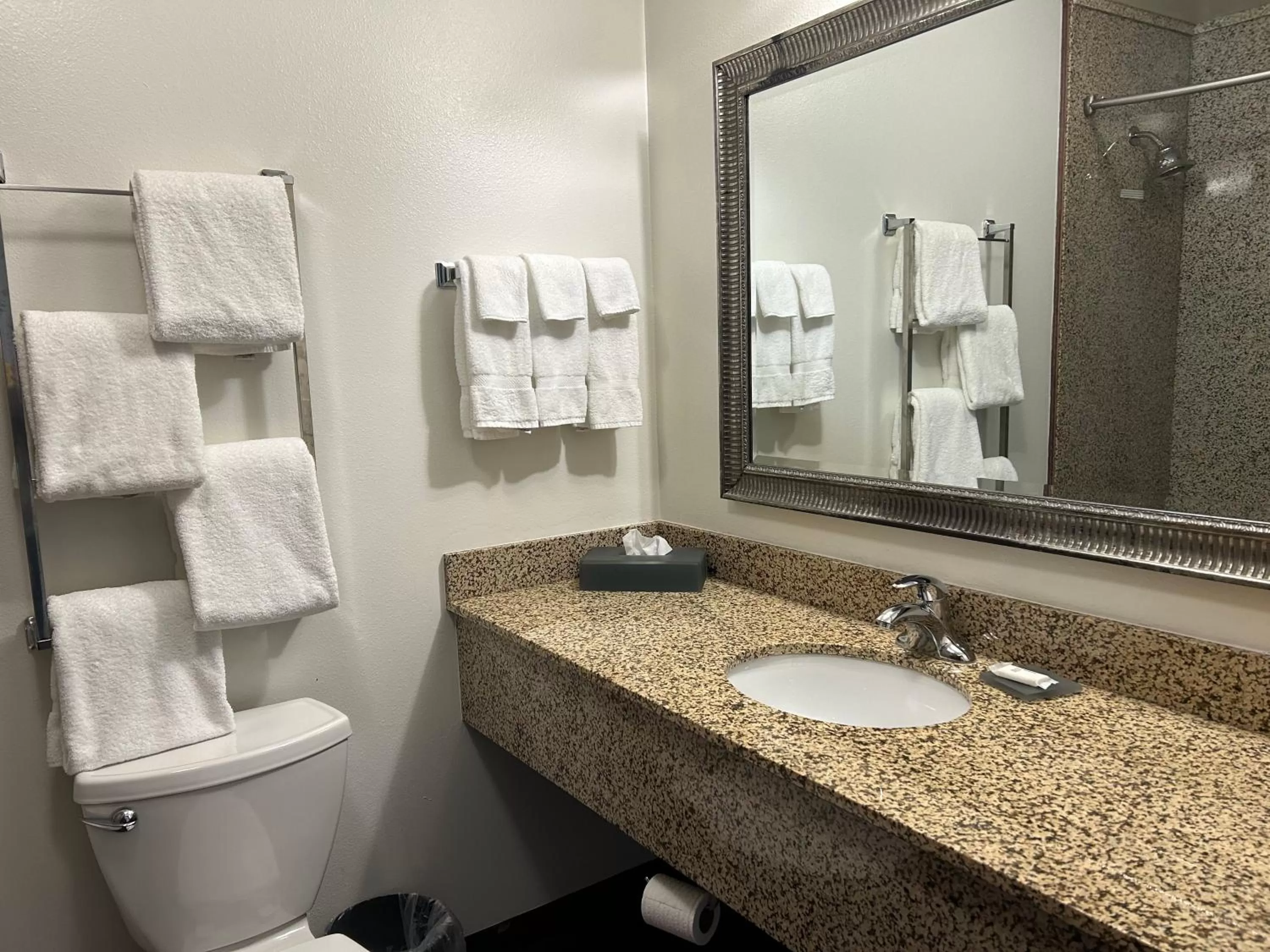 Deluxe King Room - Non-Smoking in La Quinta by Wyndham Bozeman