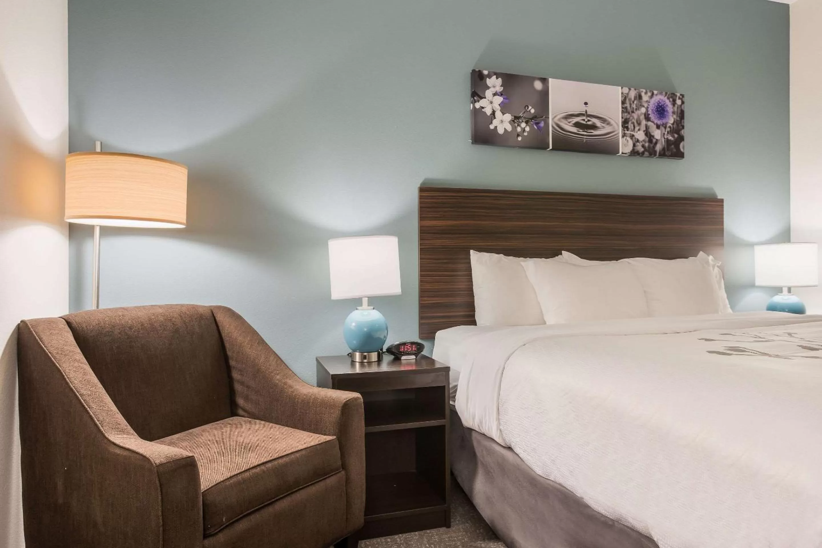 Standard King Room - Non Smoking in Sleep Inn & Suites Webb City