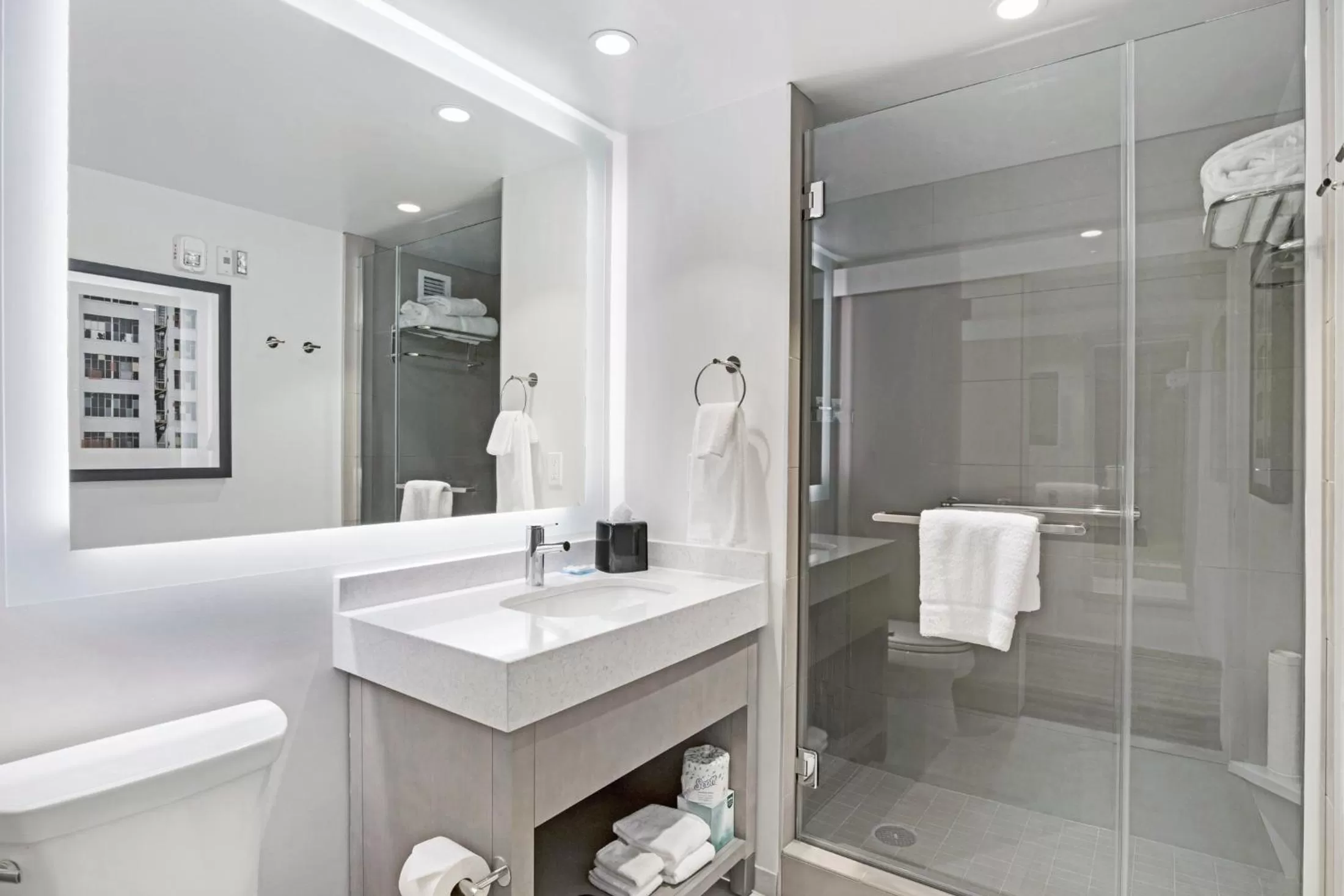 One-Bedroom King Suite with Sofa Bed and Kitchen in Hyatt House LA - University Medical Center