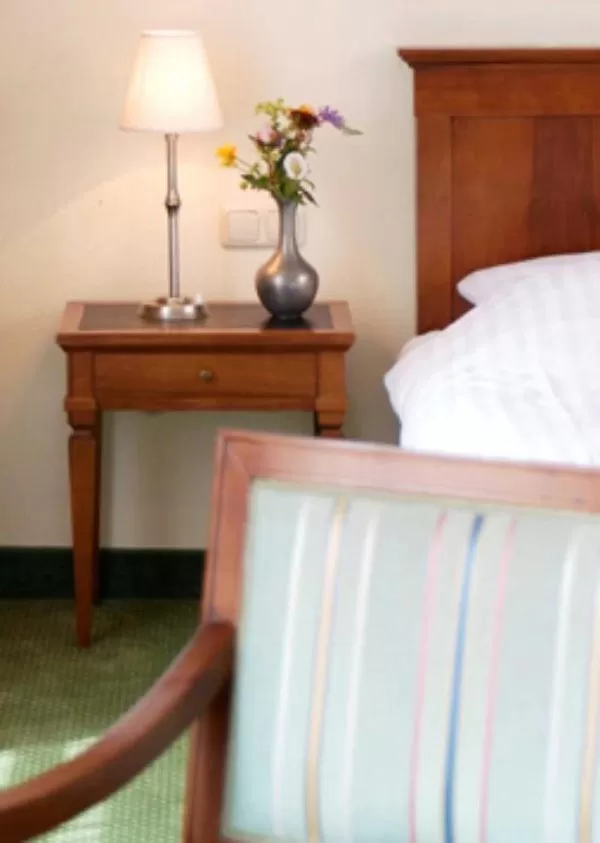 Single Room in Hotel Deutsches Theater Stadtzentrum