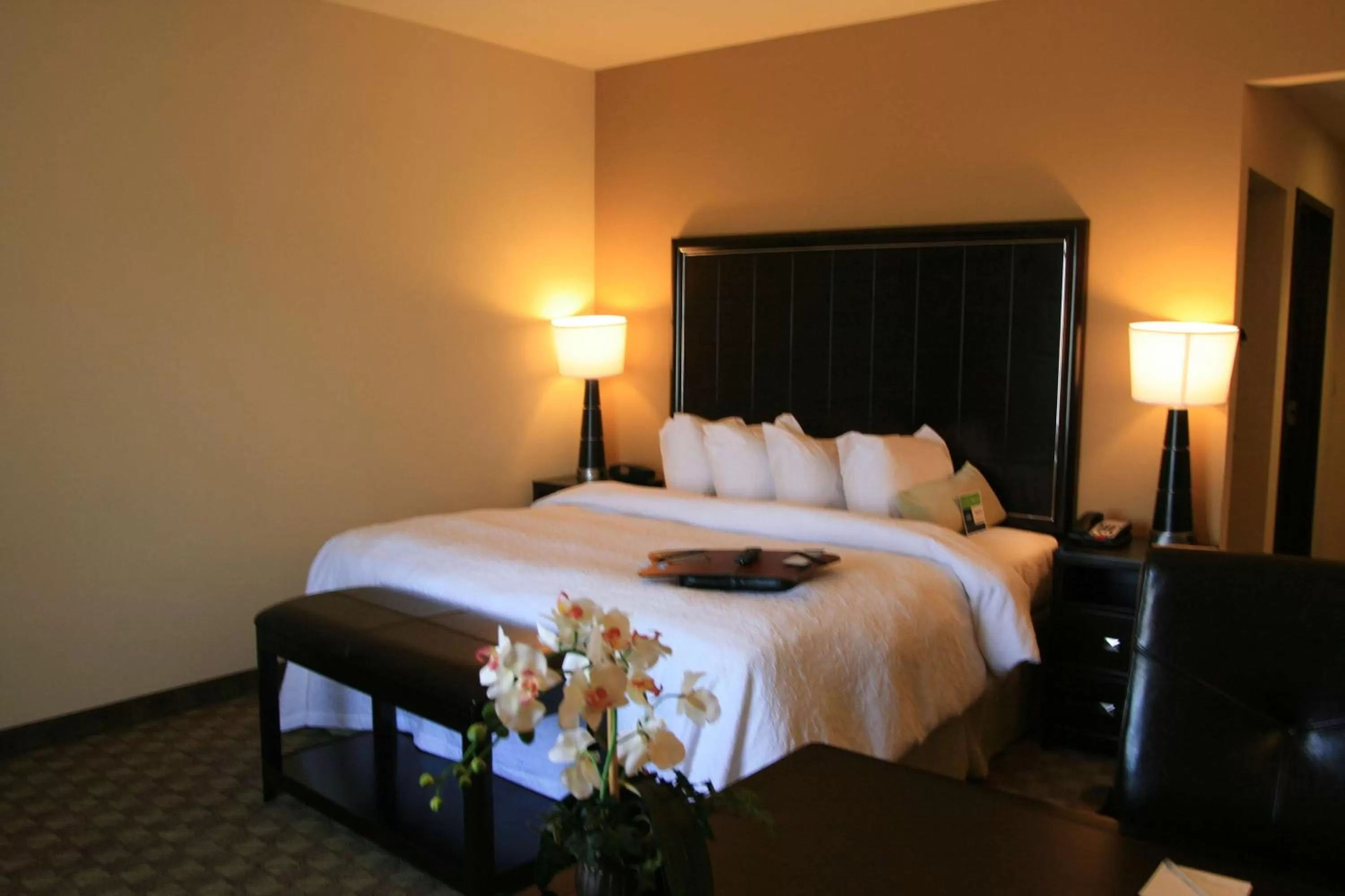 King Room with Accessible Tub - Mobility and Hearing Access/Non-Smoking in Hampton Inn & Suites McAlester