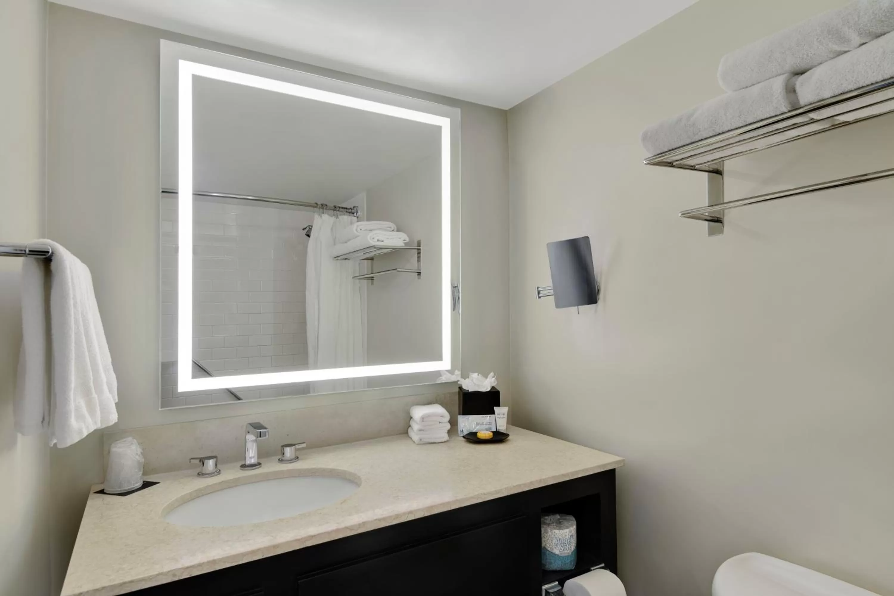 City View King with Balcony in Hotel Tampa Riverwalk