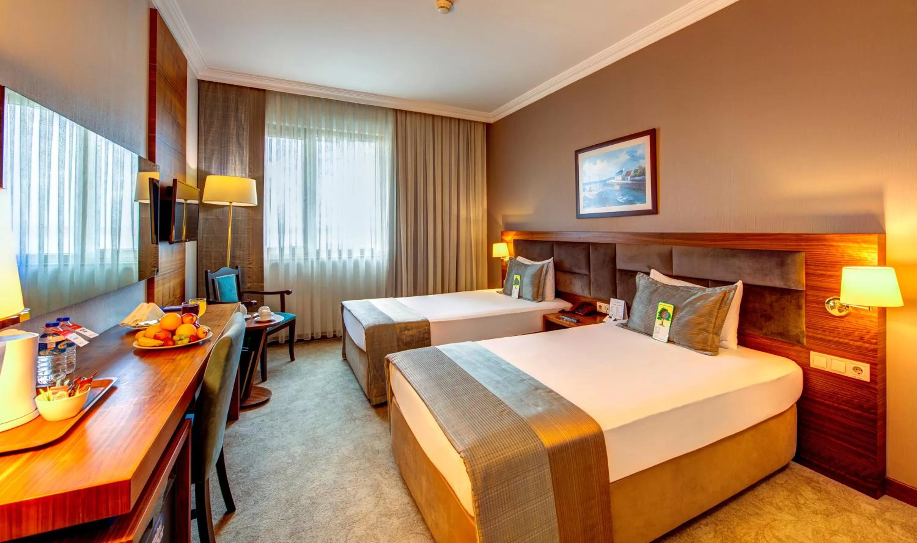Superior Double or Twin Room - single occupancy in Bera Konya Hotel