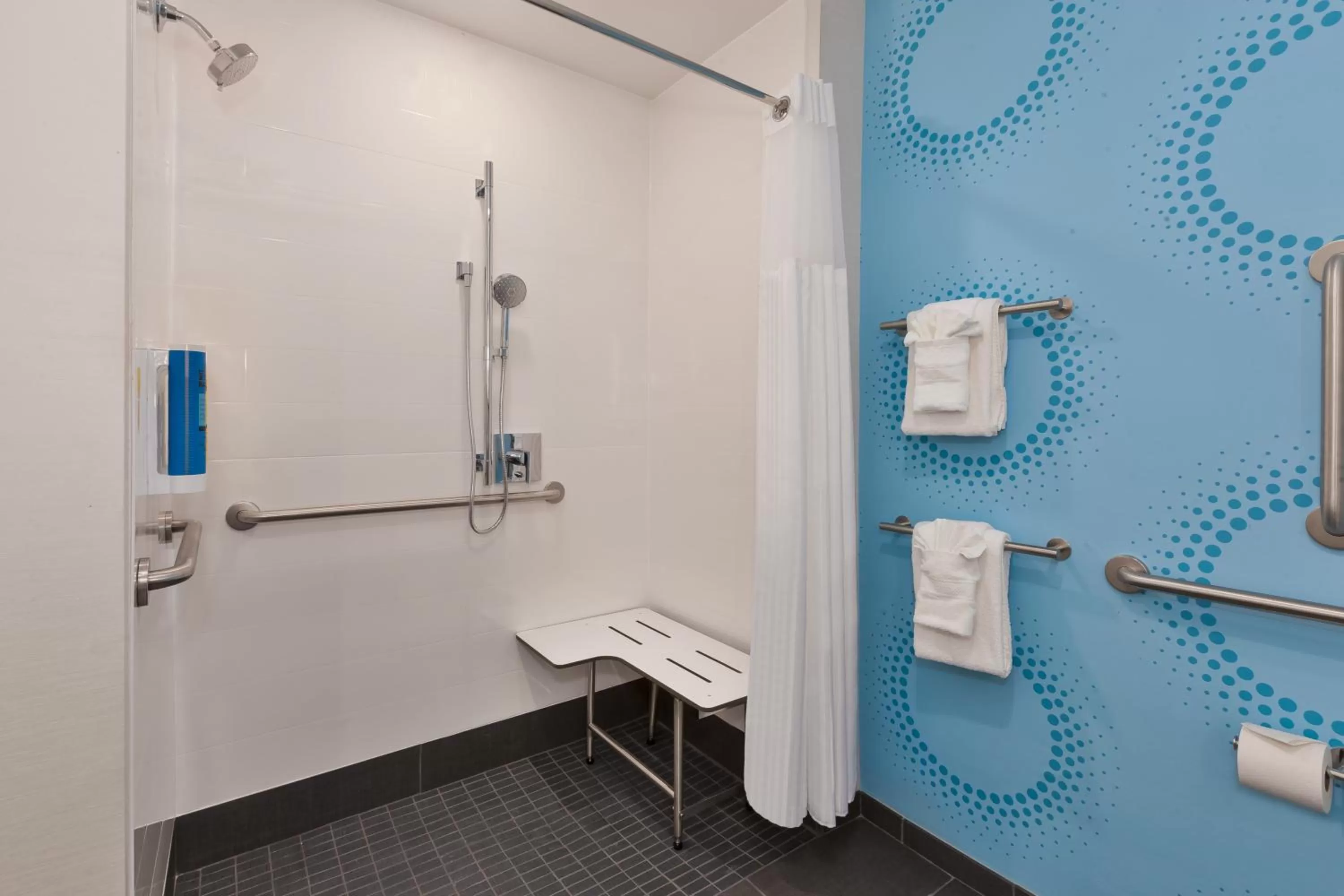 King Room with Roll-In Shower - Mobility Access in Tru By Hilton Comstock Park Grand Rapids, MI