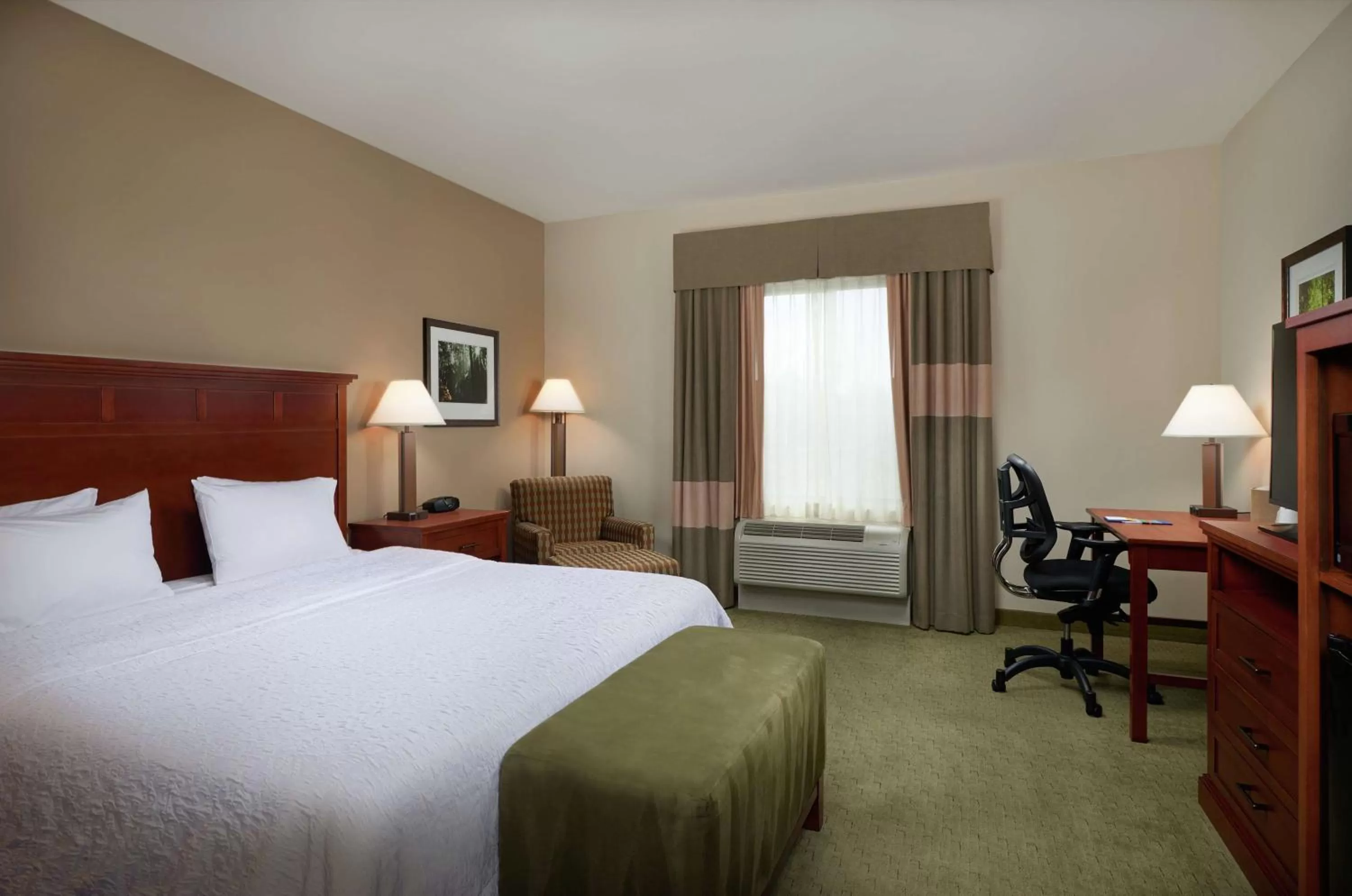 King Room with Accessible Tub - Mobility and Hearing Access/Non-Smoking in Hampton Inn and Suites Salem