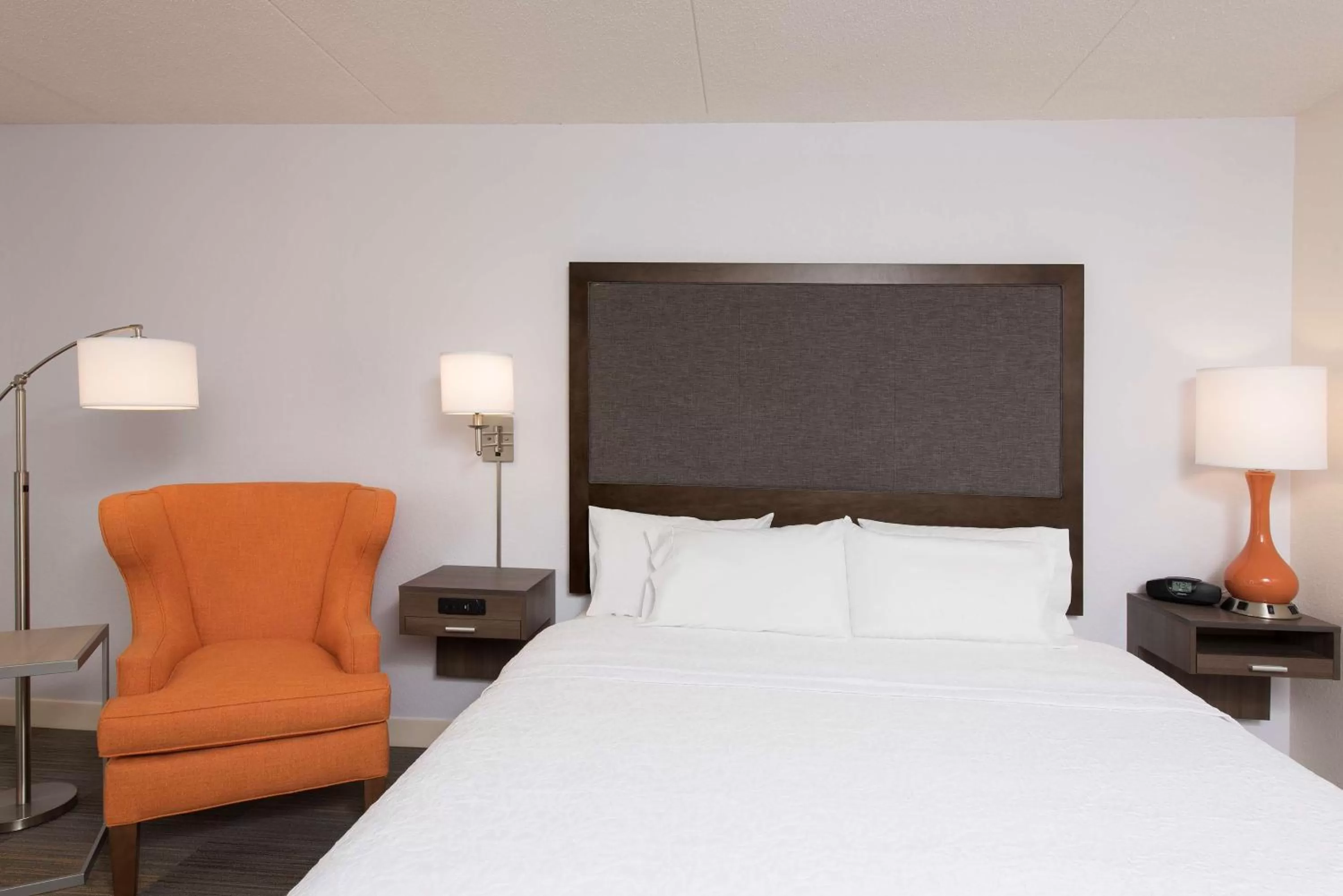 King Room with Accessible Tub - Mobility and Hearing Access/Non-Smoking in Hampton Inn Grand Rapids-South