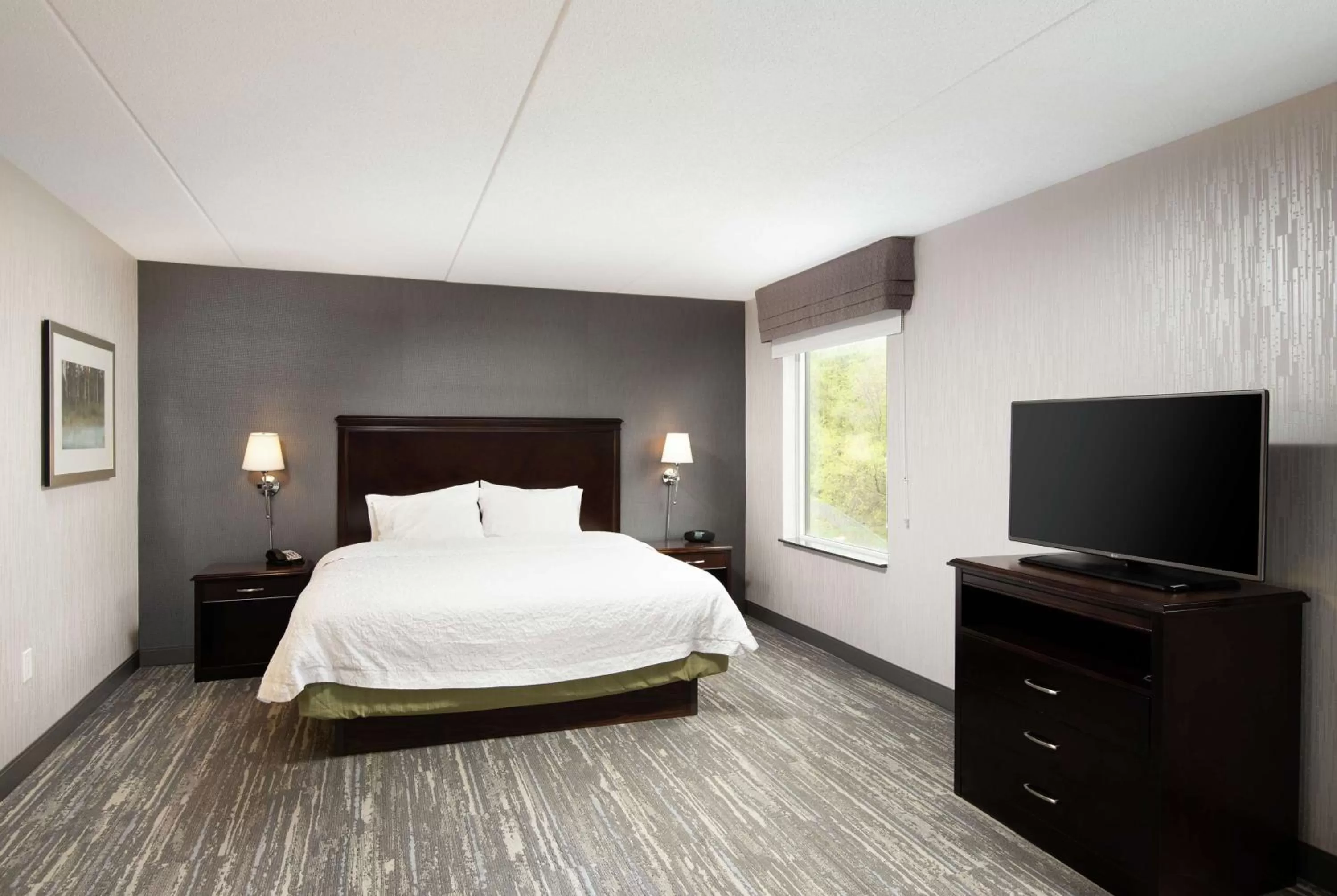 King Studio Suite with Sofa Bed - Non-Smoking in Hampton Inn & Suites by Hilton Barrie