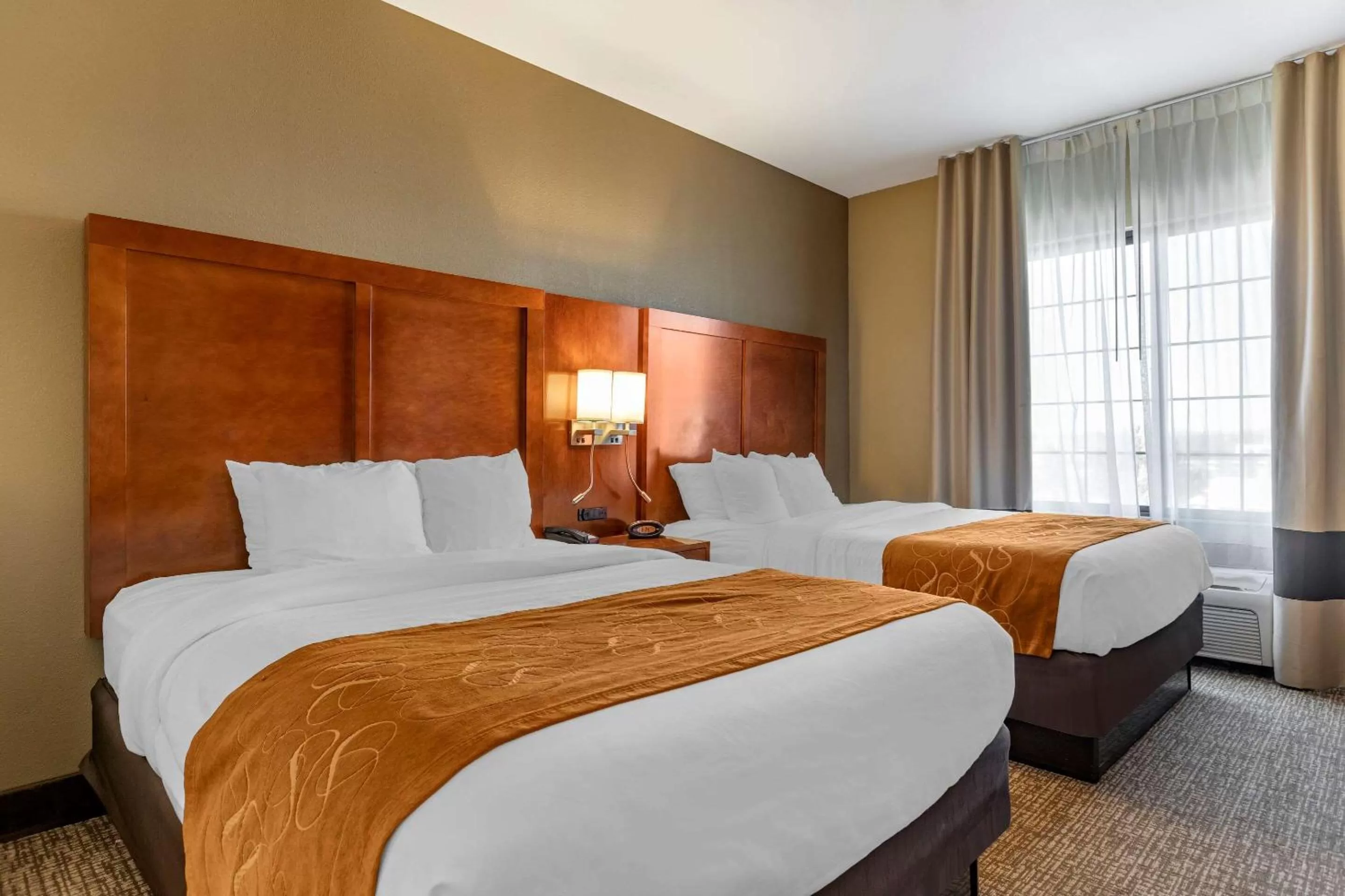 Deluxe Queen Suite with Two Queen Beds - Non Pet Friendly in Comfort Suites Grand Rapids South