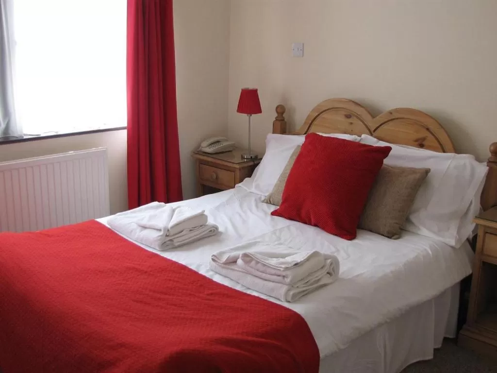 Double Room with Private Bathroom - single occupancy in Wellington Inn