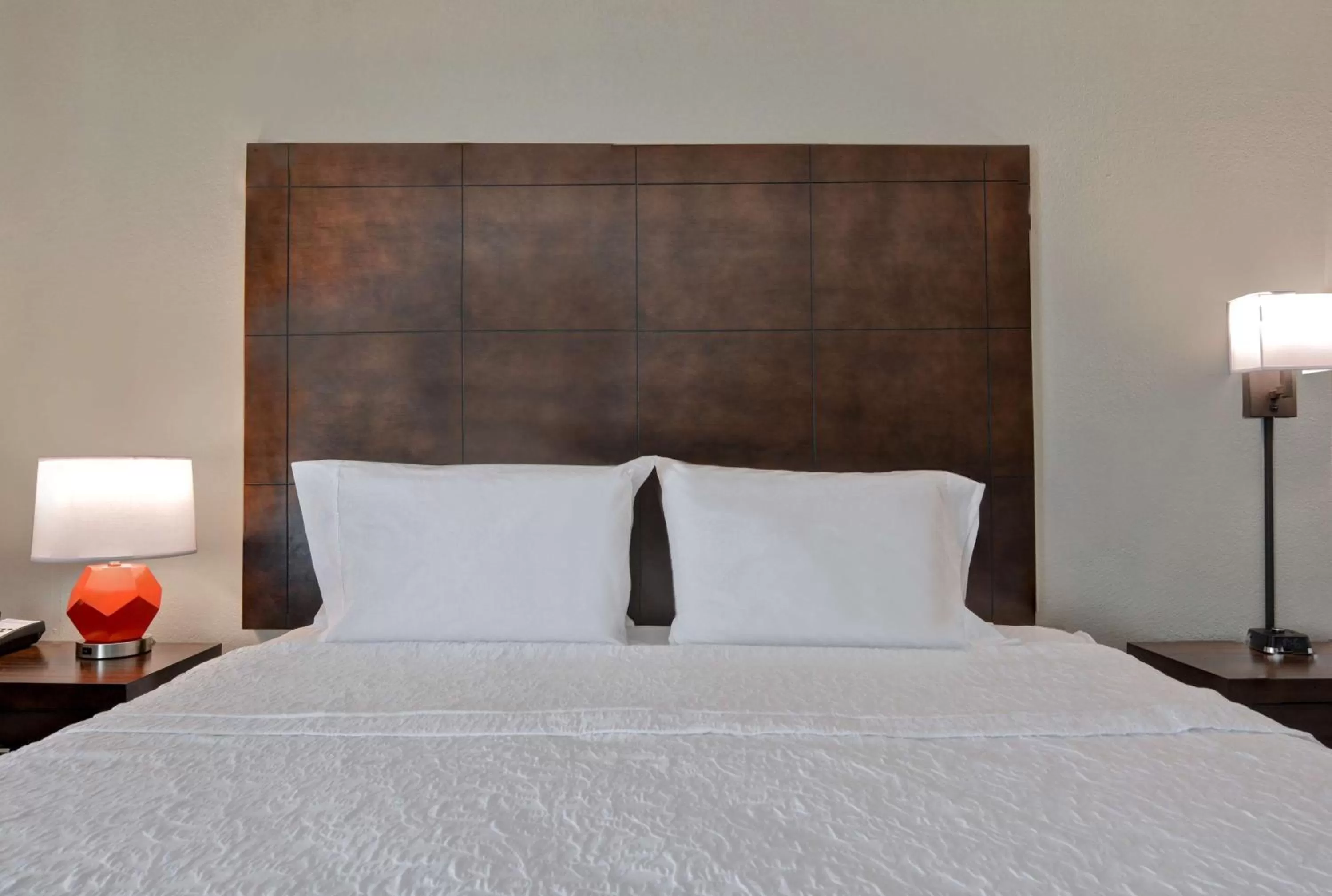 King Room - Mobility Access/Non-Smoking in Hampton Inn Anderson