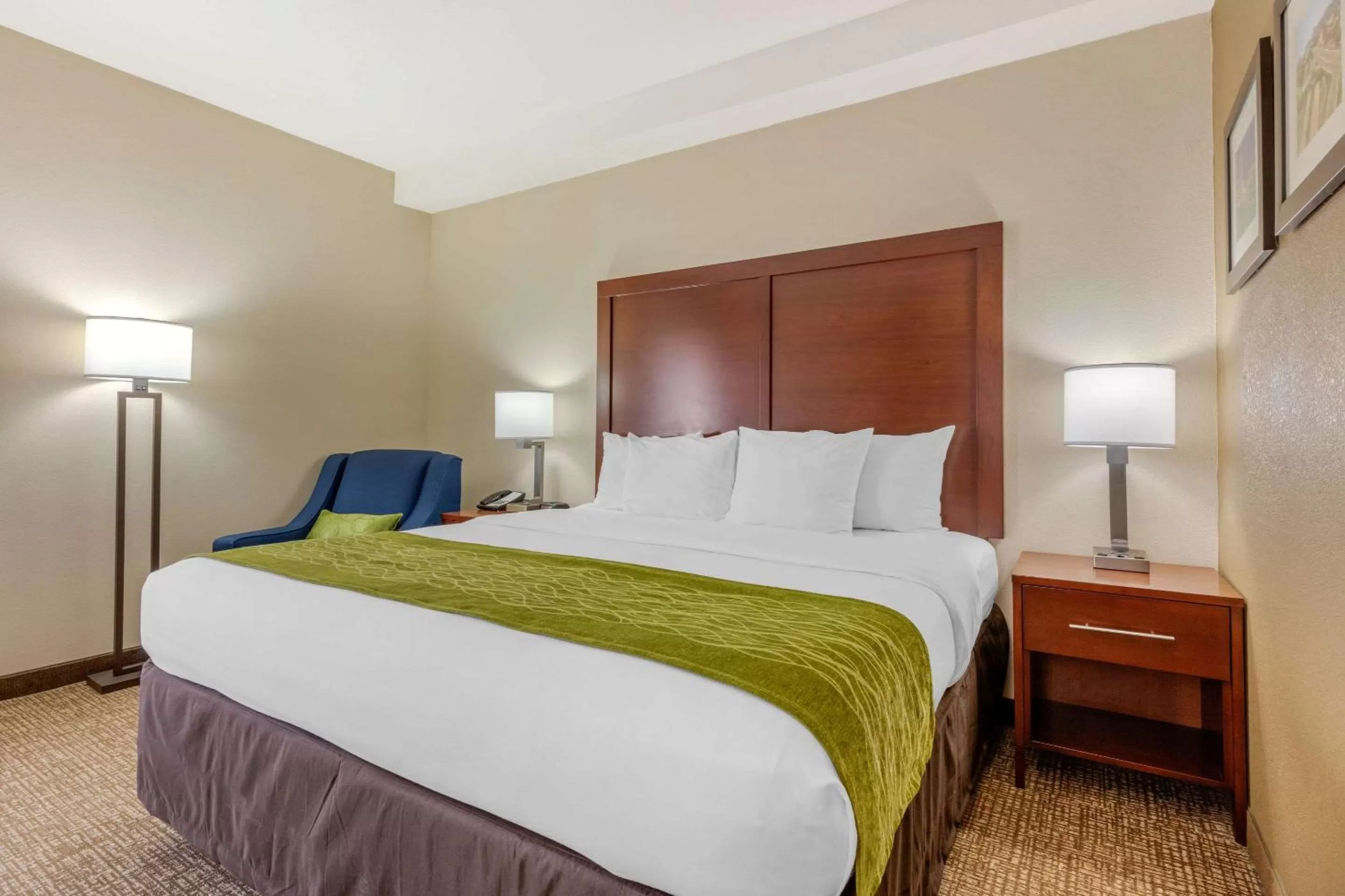 King Room - Non-Smoking in Comfort Inn Lenoir City-Knoxville