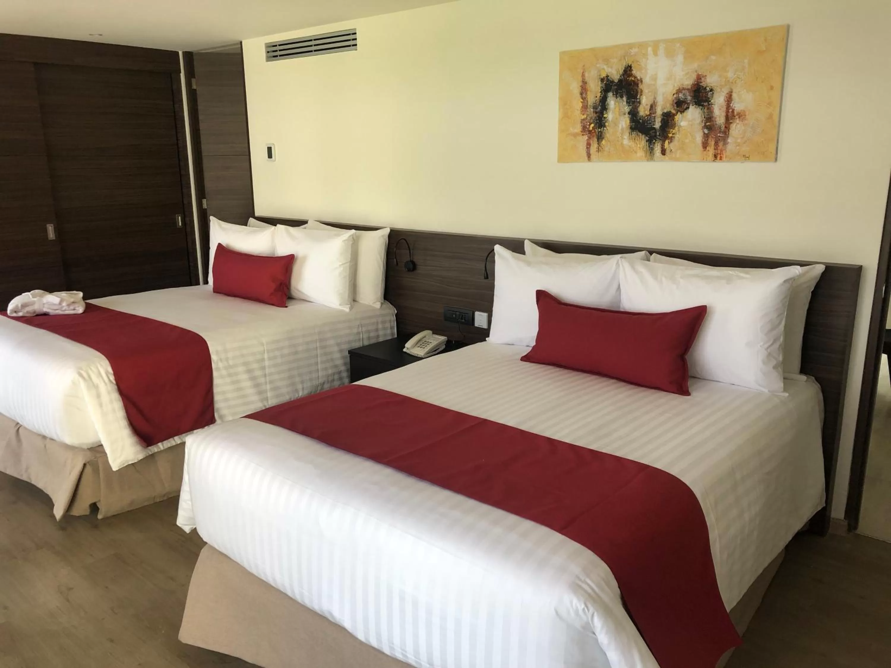 Standard Double Suite - single occupancy in MC Suites Mexico City