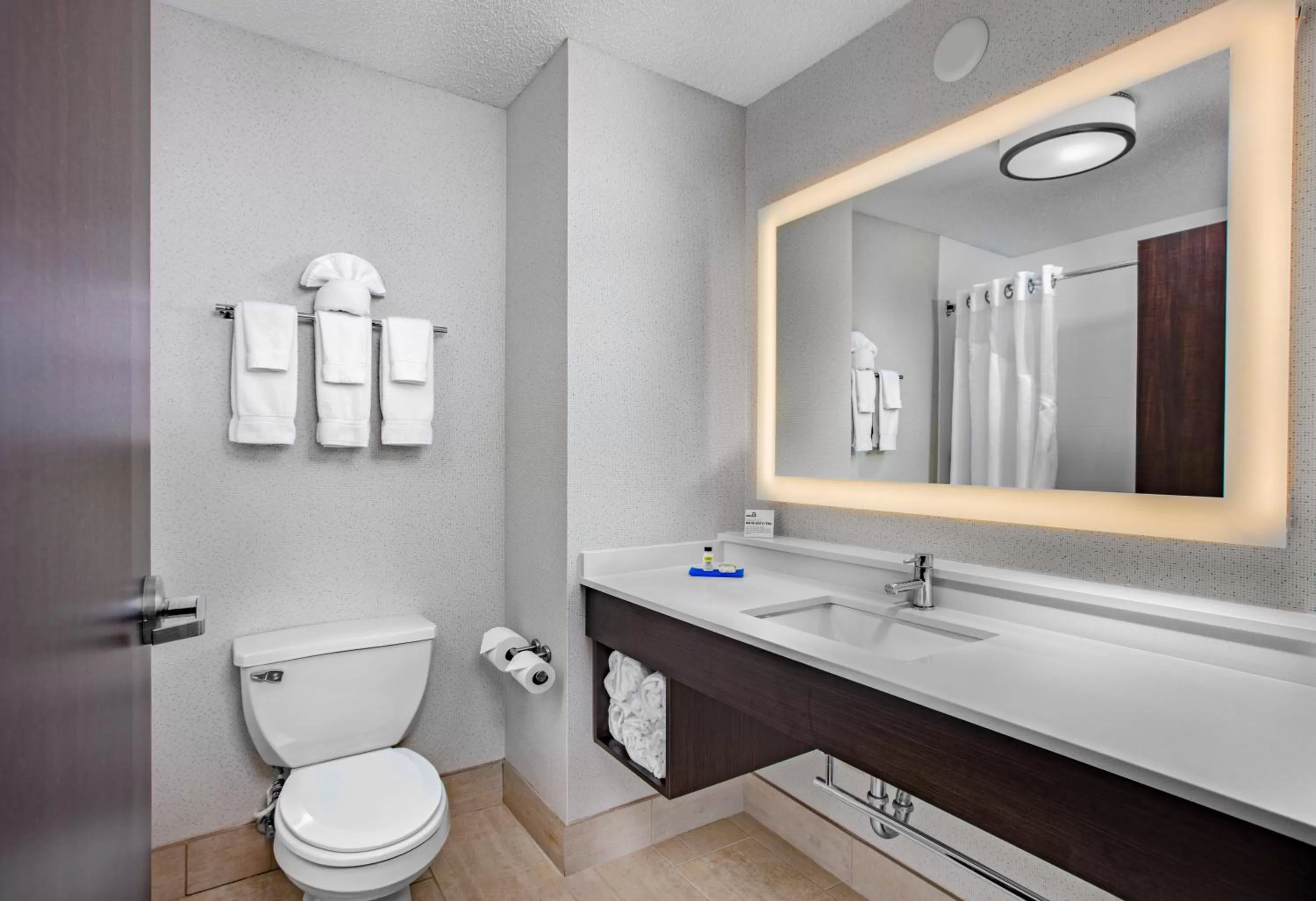 Standard King Room in Holiday Inn Express Hotel & Suites Altoona-Des Moines by IHG