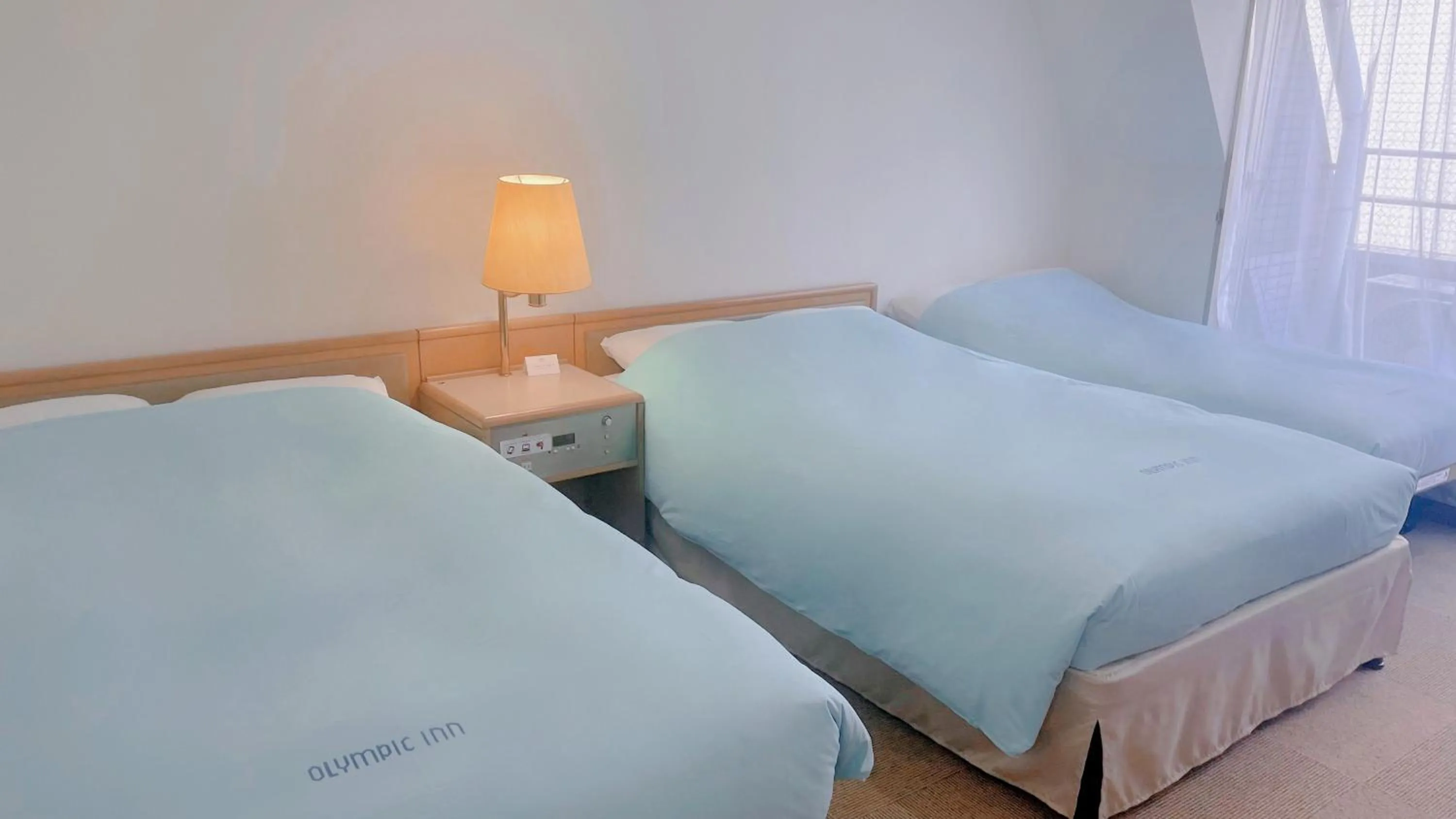 Triple Room in Olympic Inn Kanda