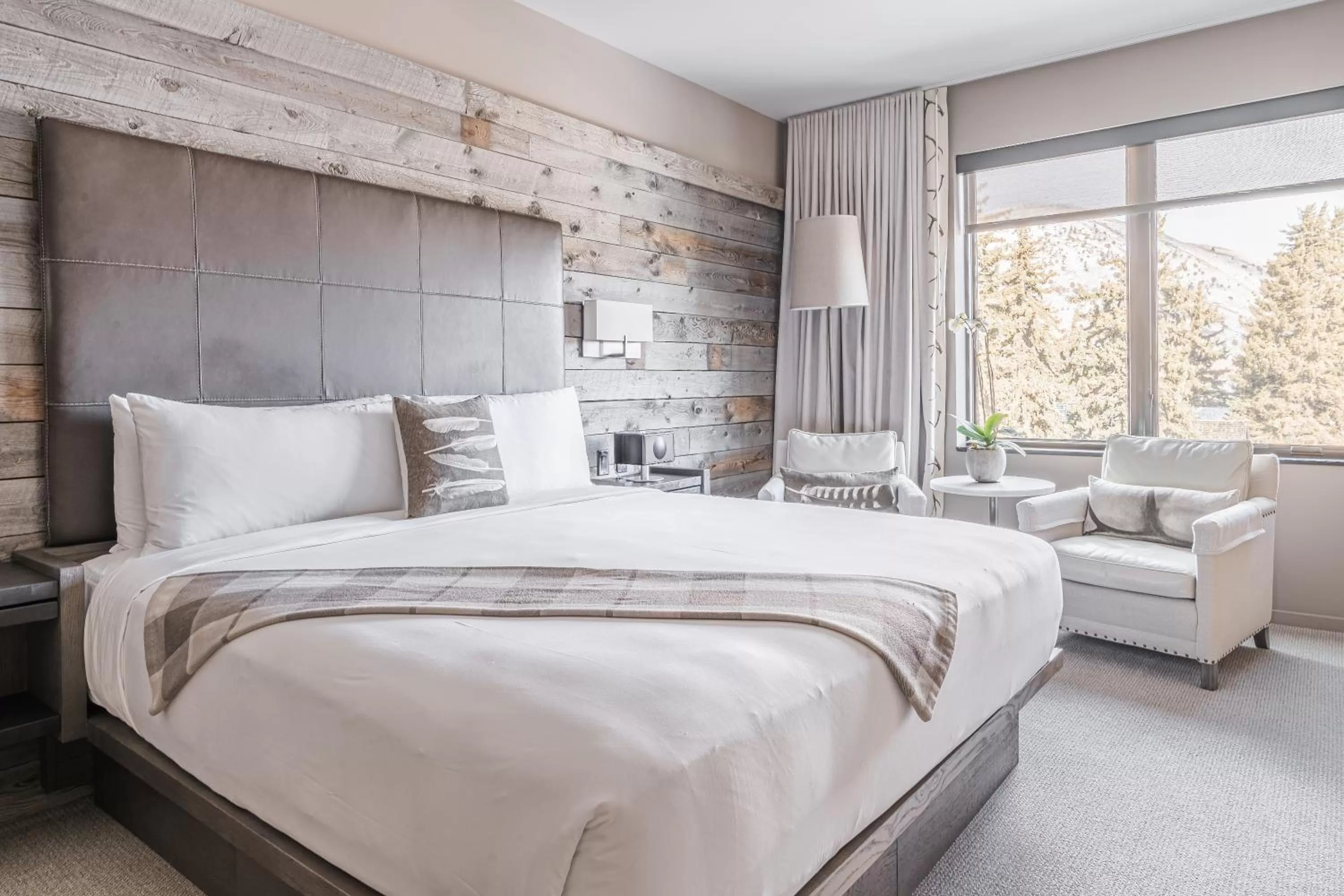 Premium King Room in Hotel Jackson