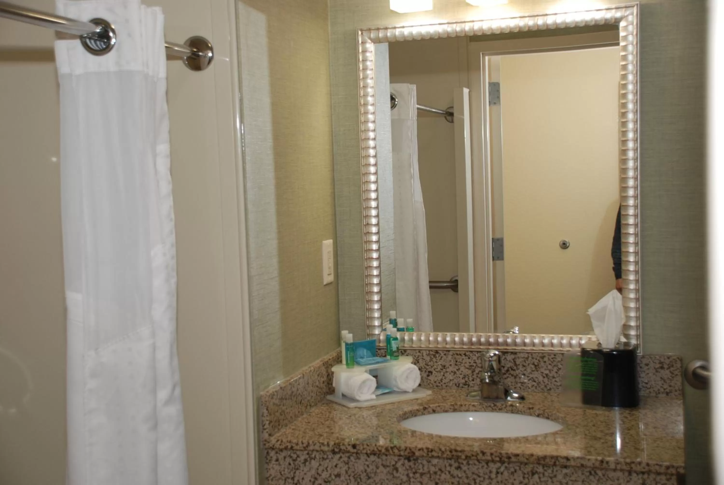 Suite -  Mobility Access Roll in Shower/Non-Smoking in Holiday Inn Express & Suites Covington by IHG