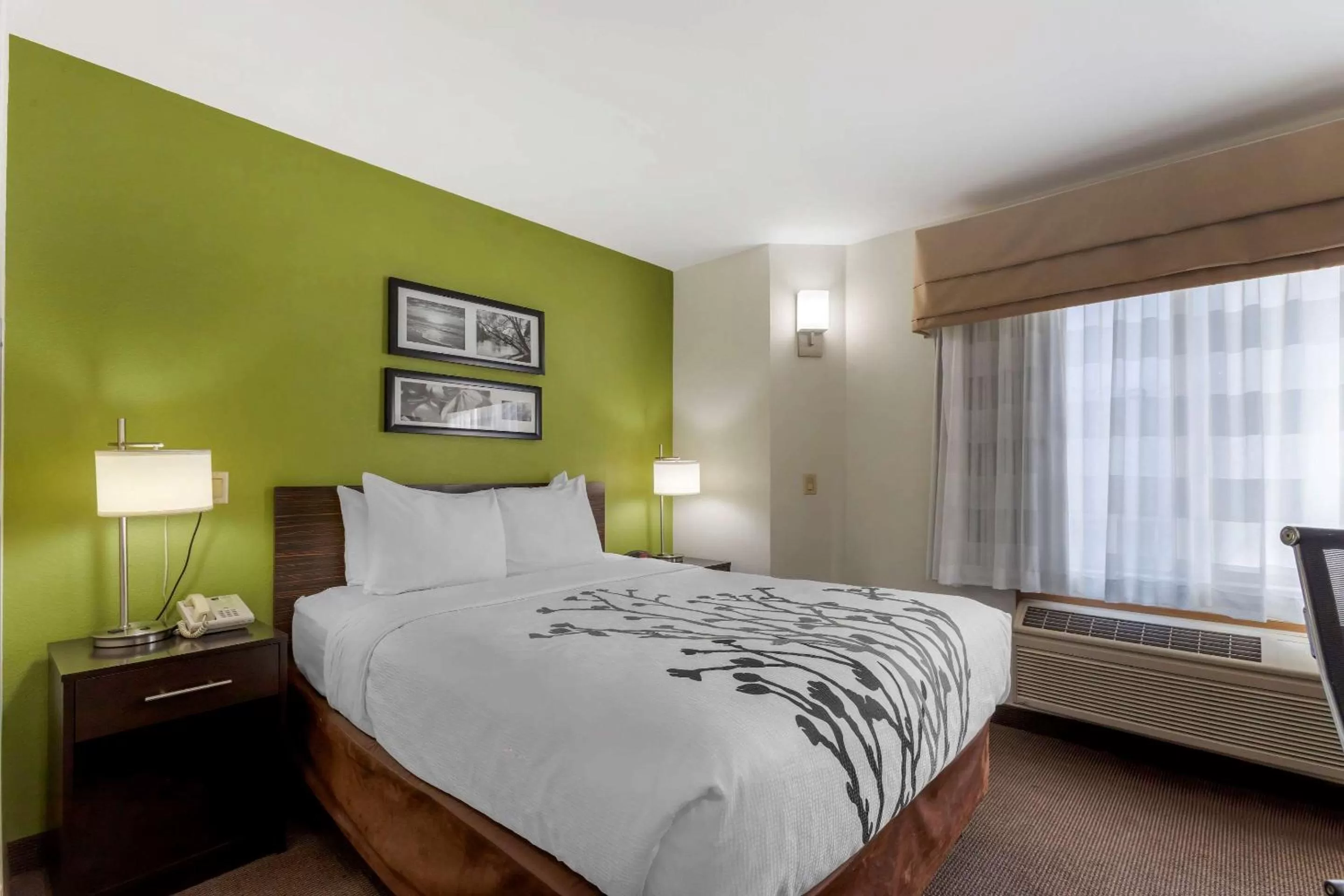 Queen Room with Roll-in-Shower - Accessible/Non-Smoking in Sleep Inn Ontario