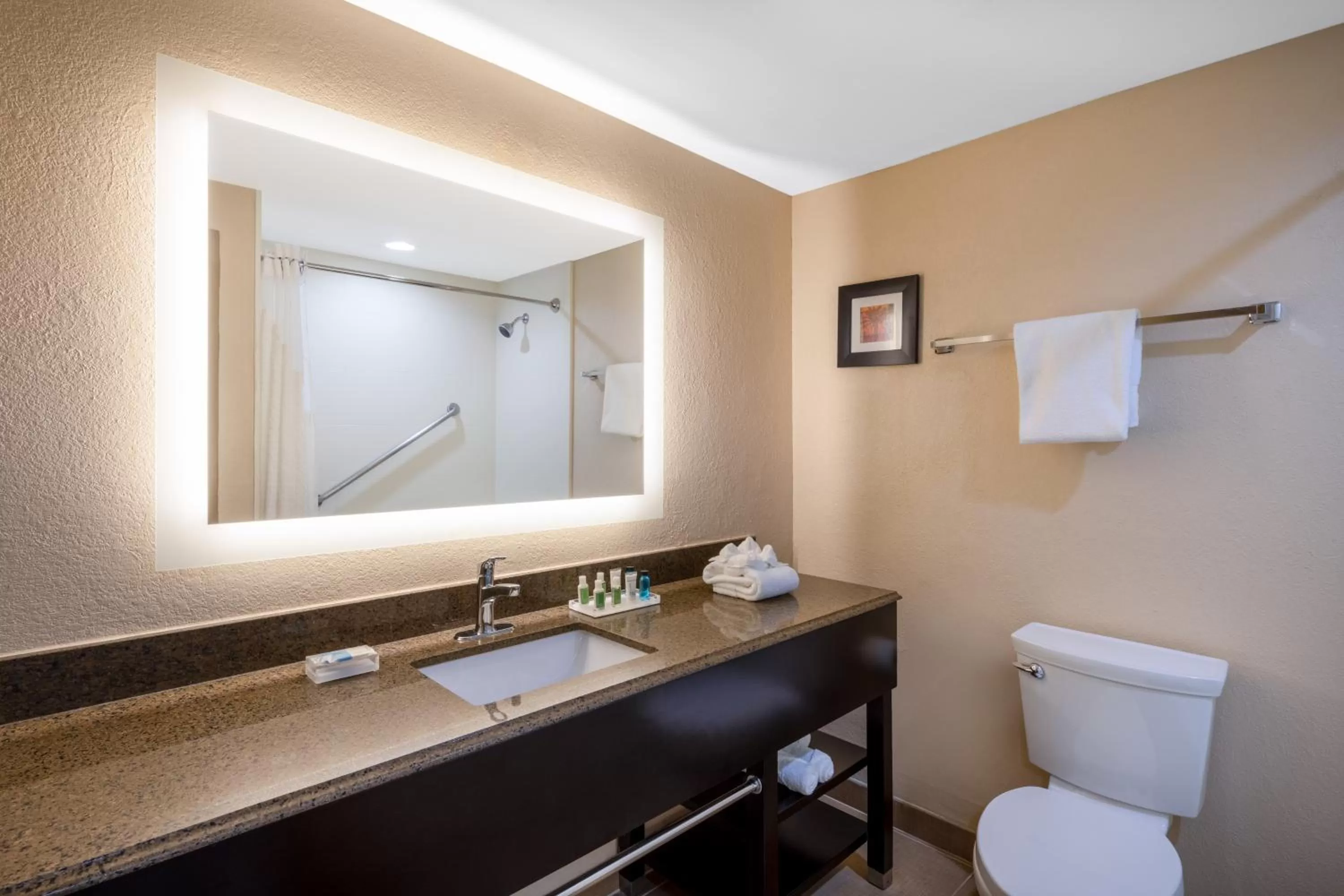 Standard King Room in Holiday Inn Poughkeepsie by IHG