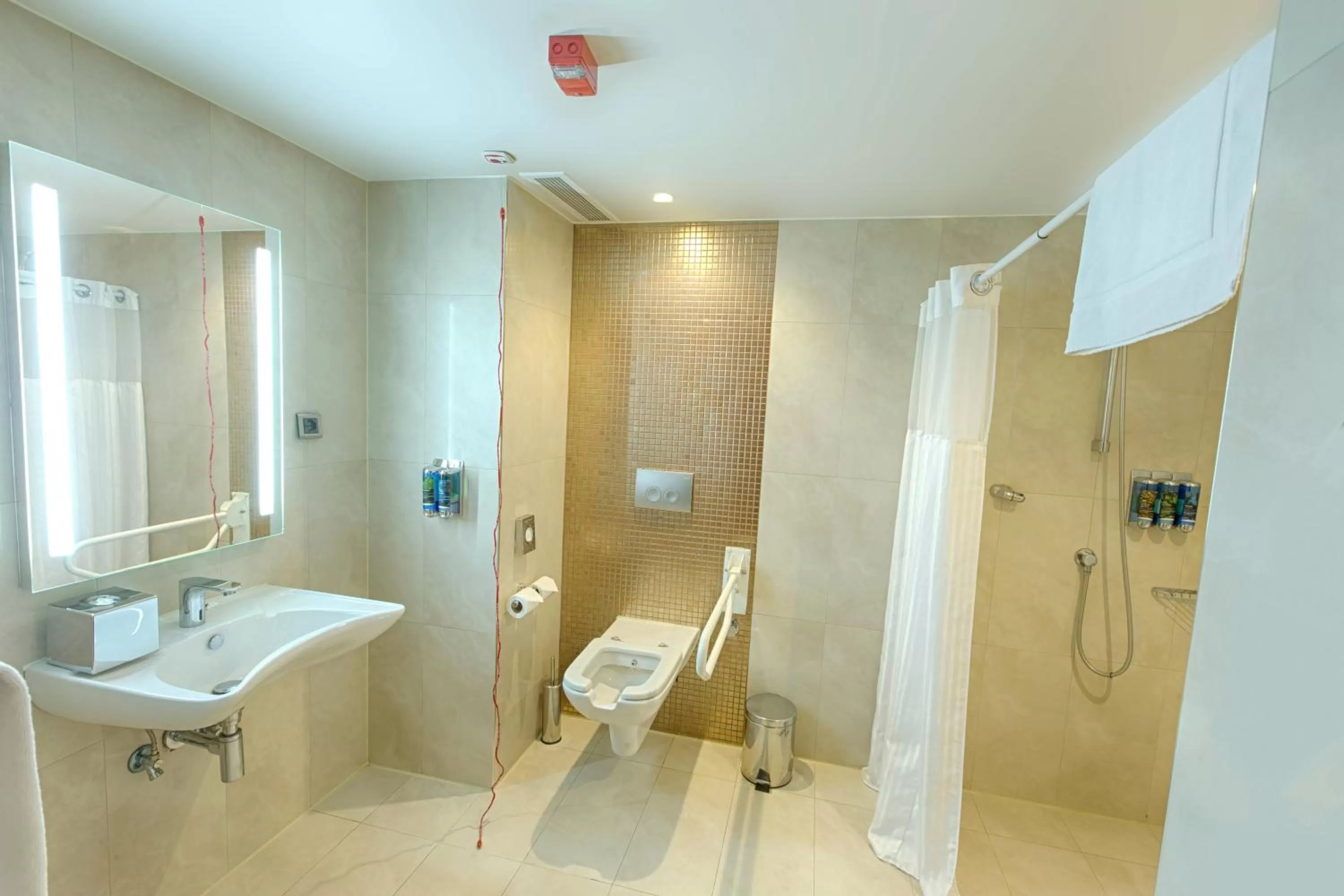 1 Queen Access Roll in Shower - Non Smoking in Hampton By Hilton Gaziantep