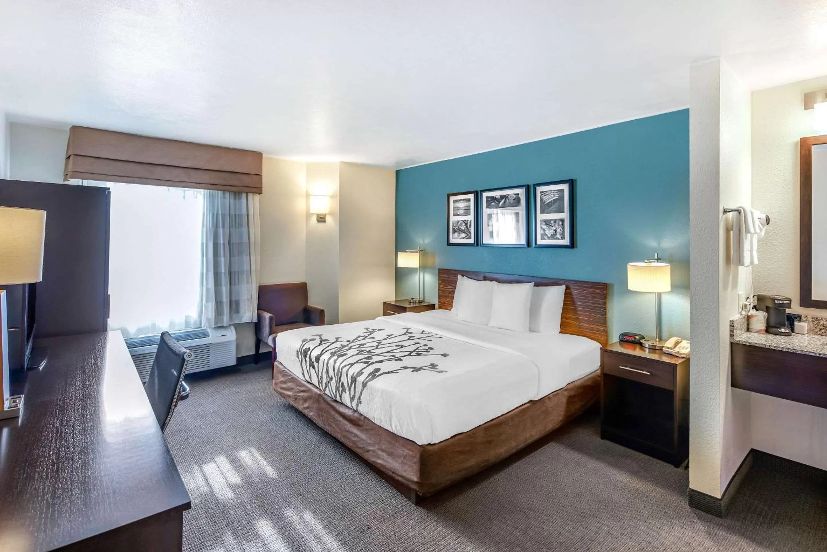 Standard King Room - Non-Smoking  in Sleep Inn near Washington State Line