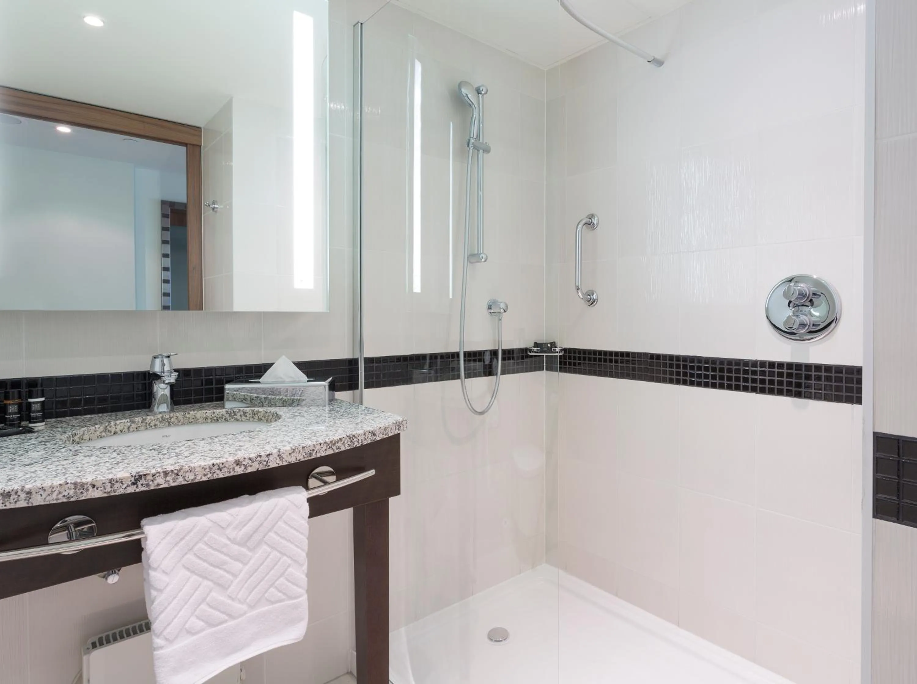 Queen Room with City View - High Floor in Hampton by Hilton Warsaw City Centre