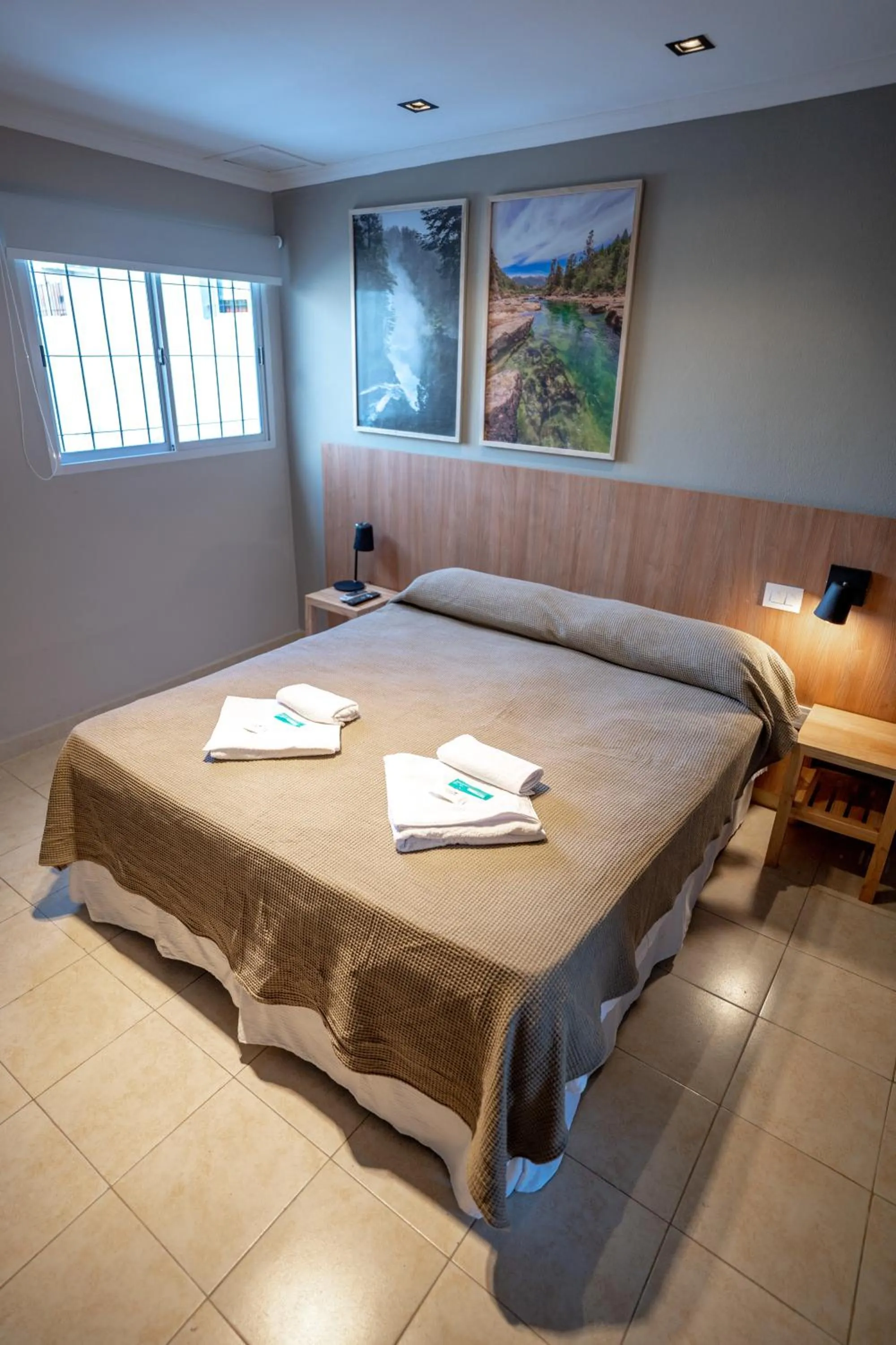 Standard Double Room in Nuevo Centro Hotel Villa Carlos Paz