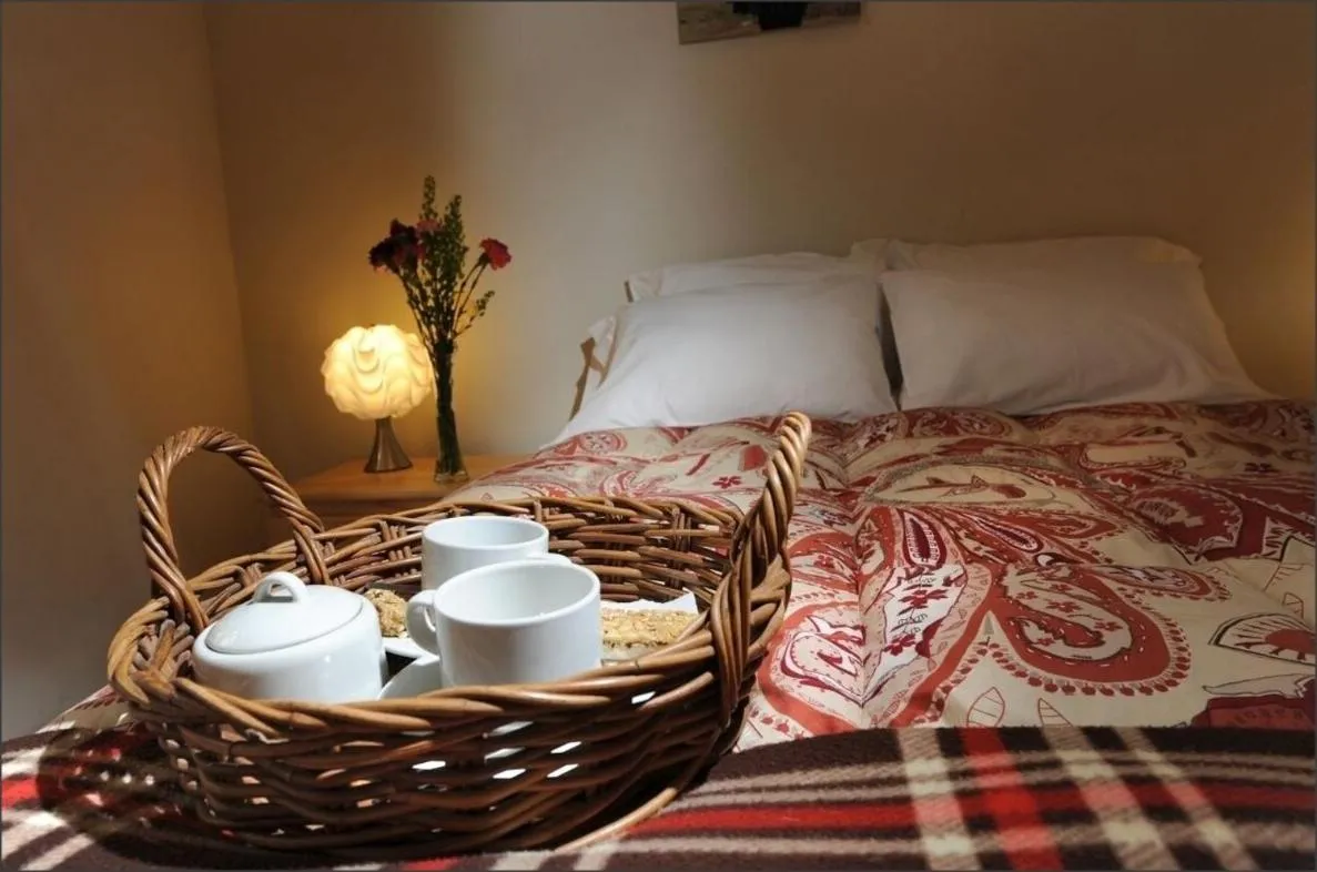 Double Room with Private Bathroom in Bear Packer Hostel