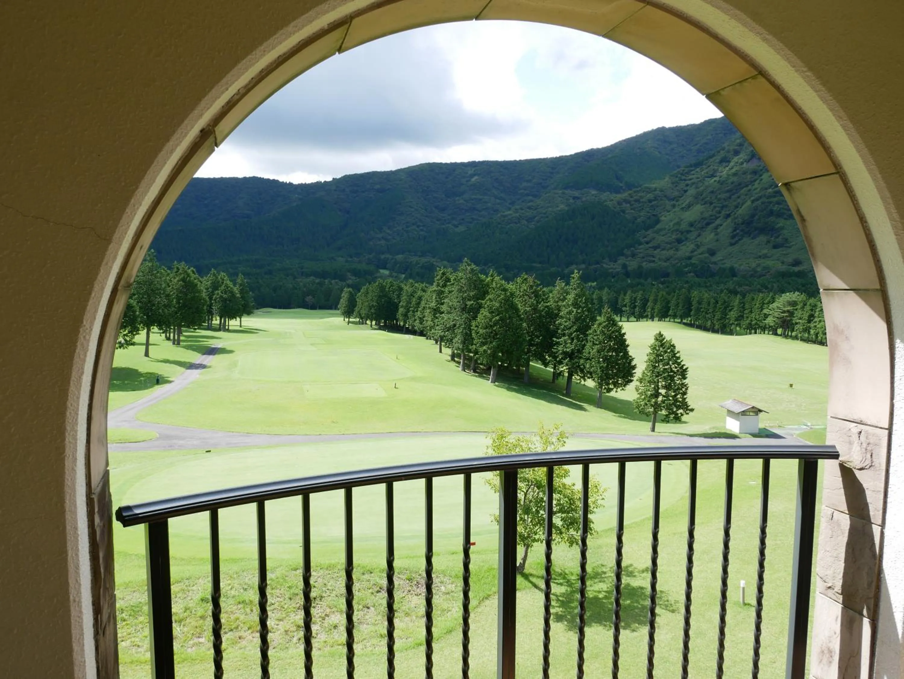 Superior Room - single occupancy - Non-Smoking in Hakone Sengokuhara Prince Hotel