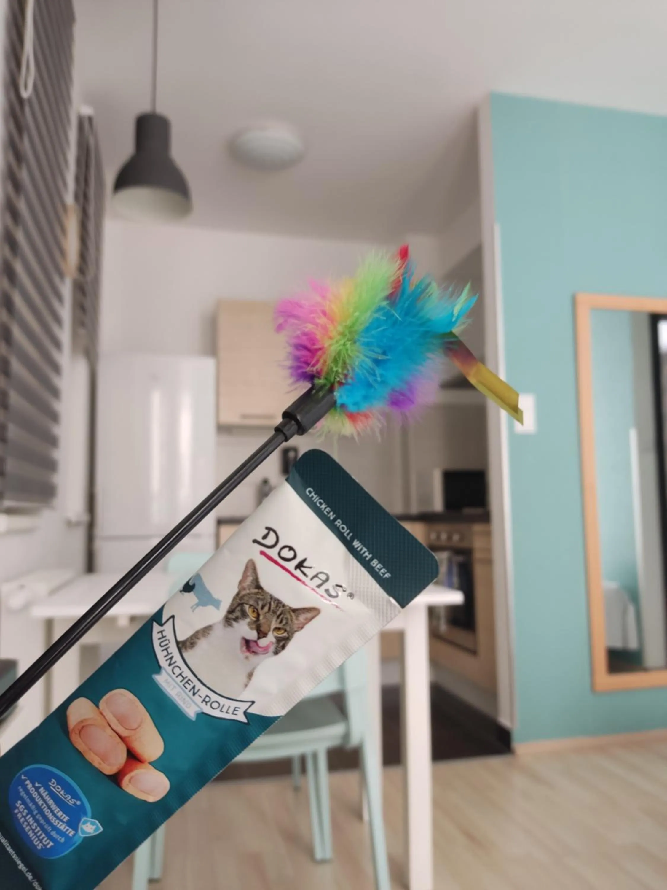 Pet Friendly Apartment in Corvin Center Suites