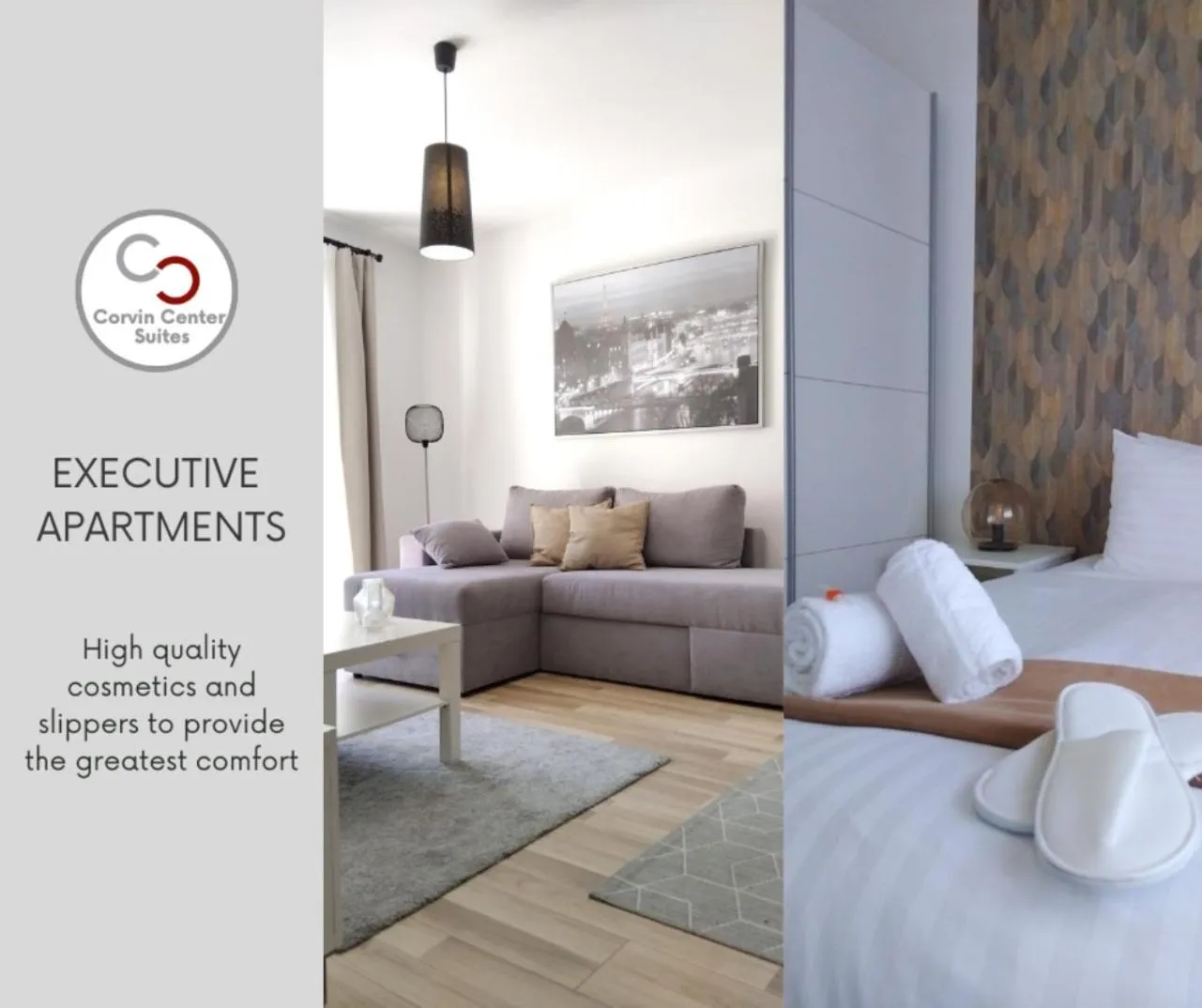 Executive Suite in Corvin Center Suites