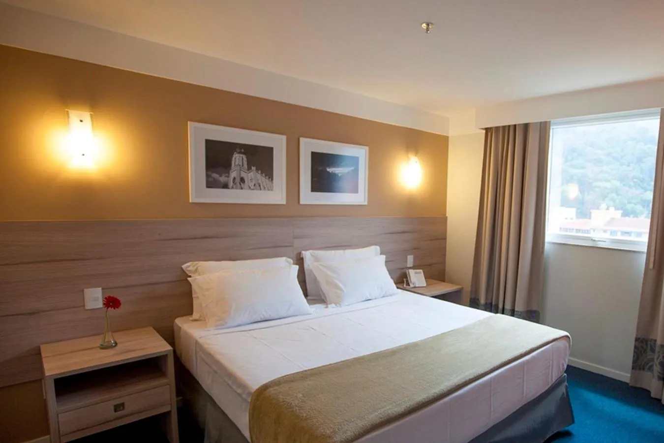 Luxury Double - single occupancy - 1 King Bed in Intercity Teresópolis