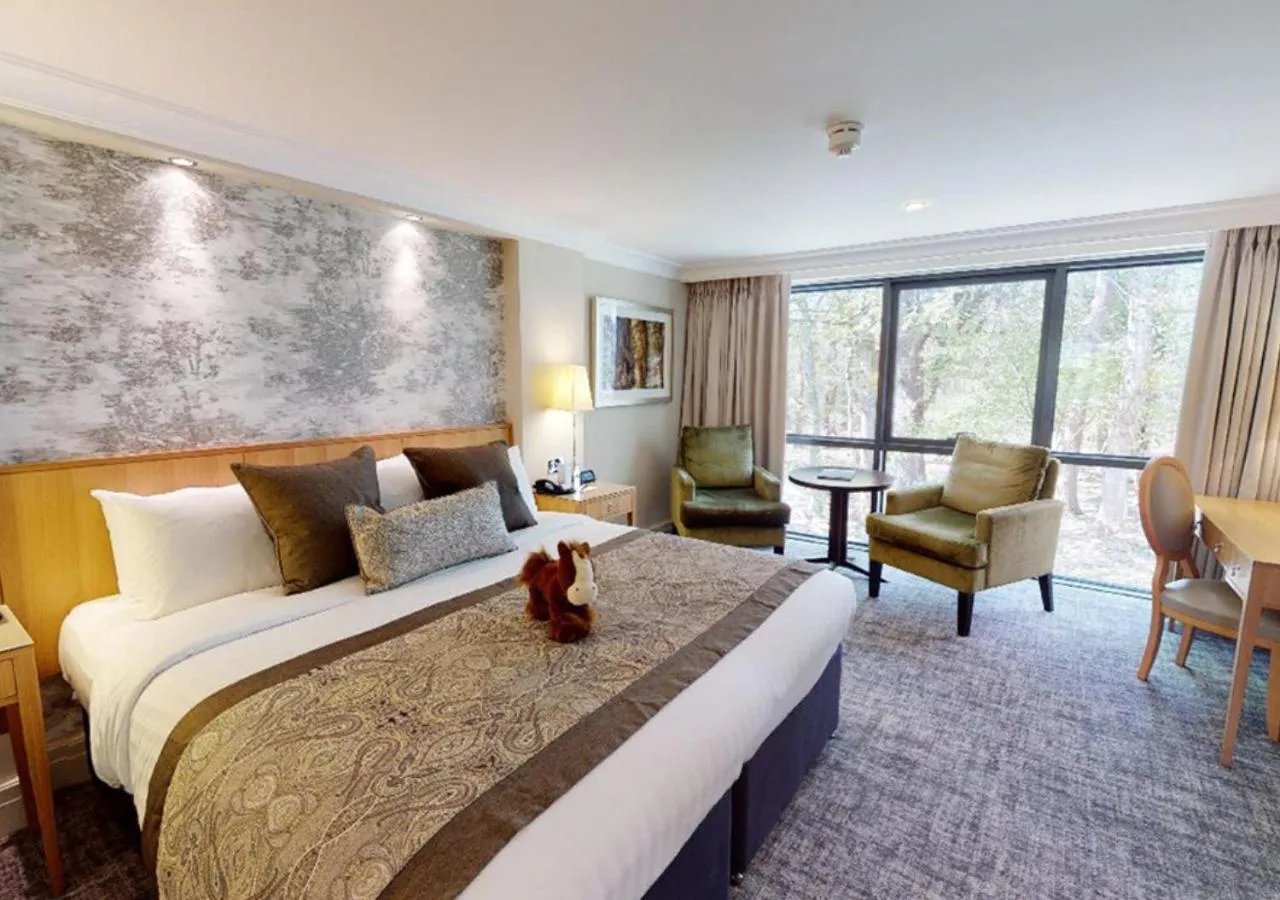Executive Double or Twin Room in Rhinefield House Hotel