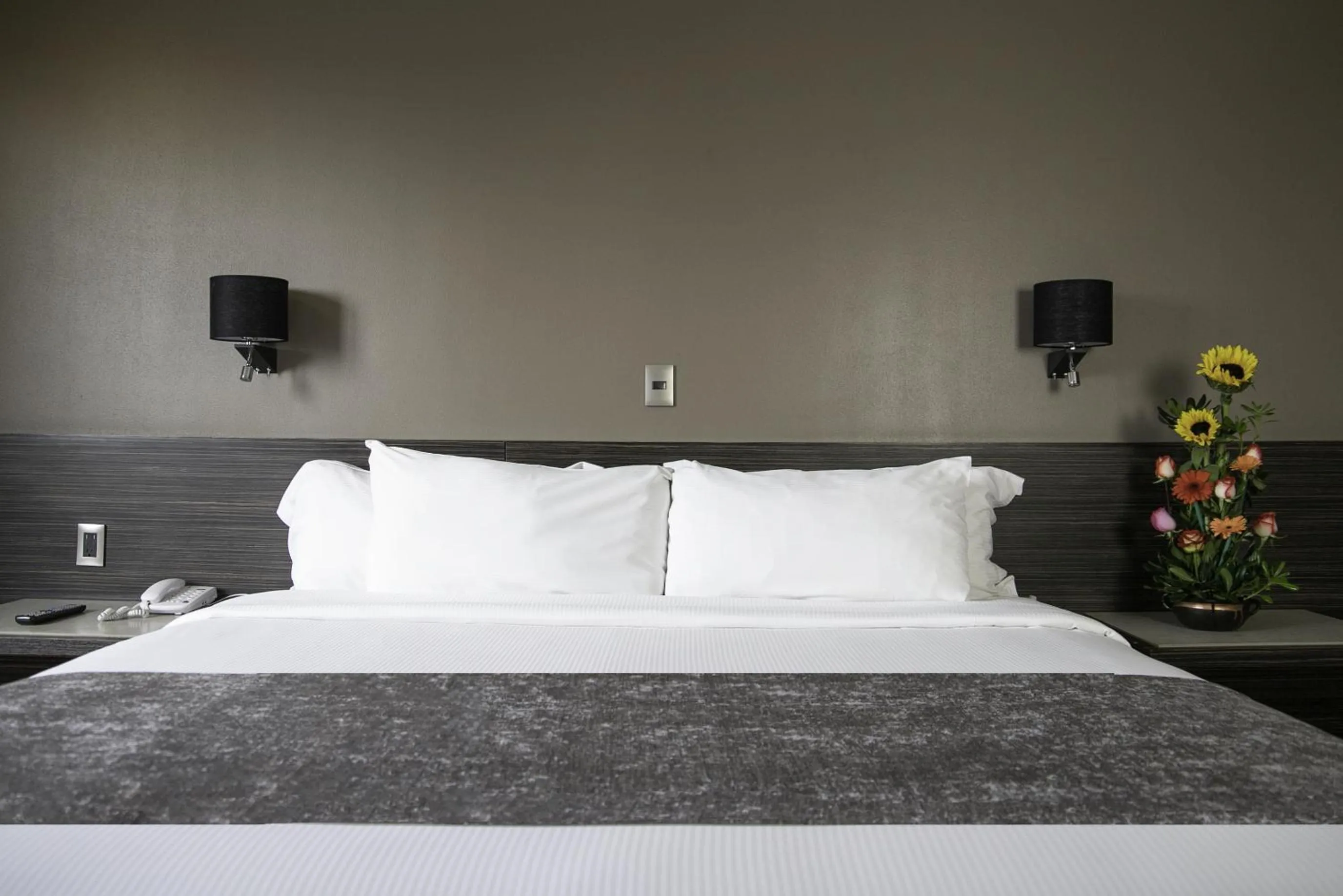 King Room in Hotel Brasilia