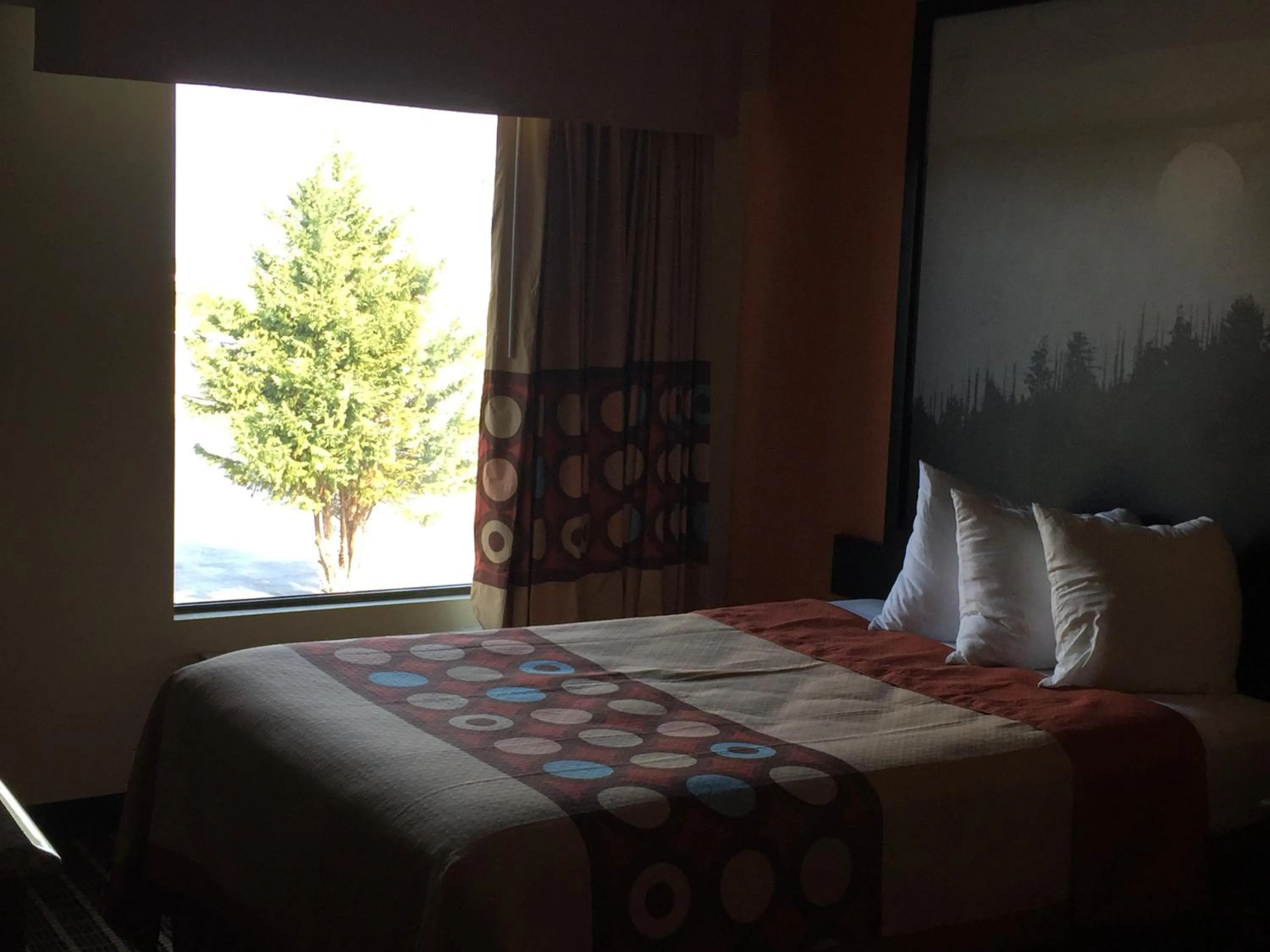 Double Room with Two Double Beds - Smoking in Super 8 by Wyndham Dandridge