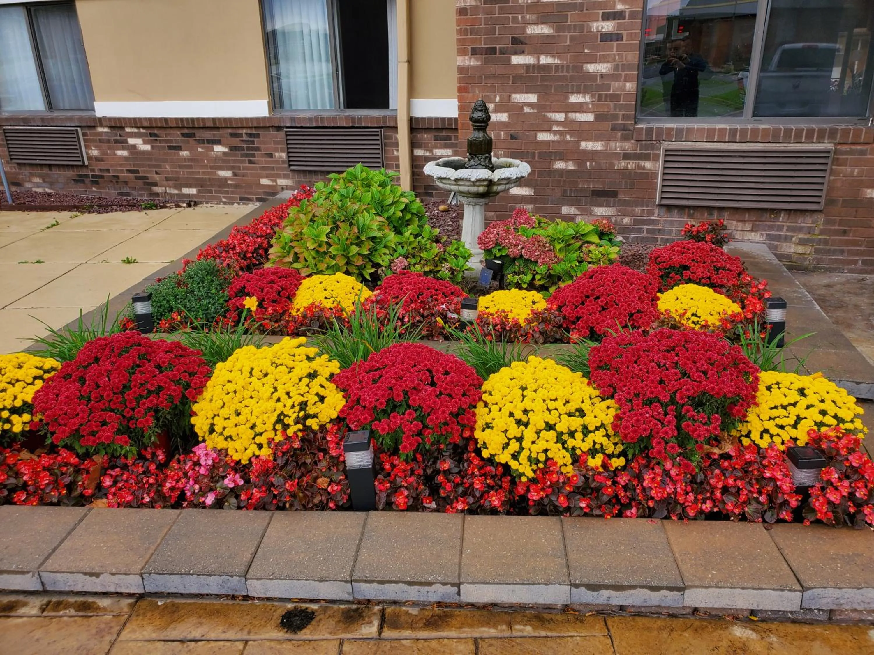 King Room - Non-Smoking in Super 8 by Wyndham Sterling Heights/Detroit Area