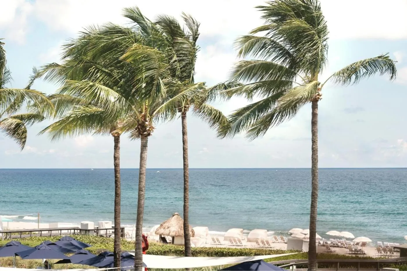 Ocean View King in Beach Club at The Boca Raton