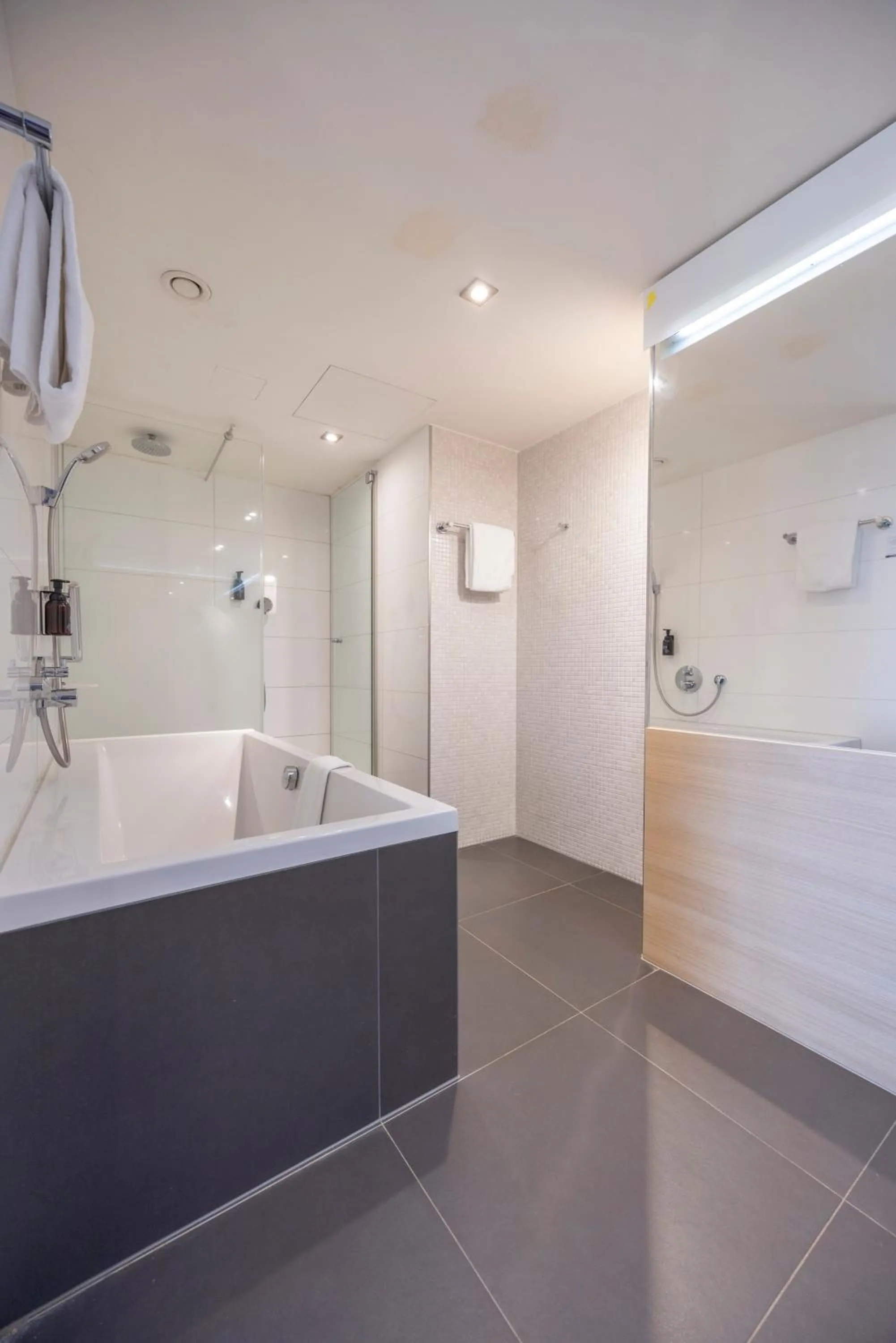 Suite in Fletcher Hotel-Restaurant Nieuwegein-Utrecht